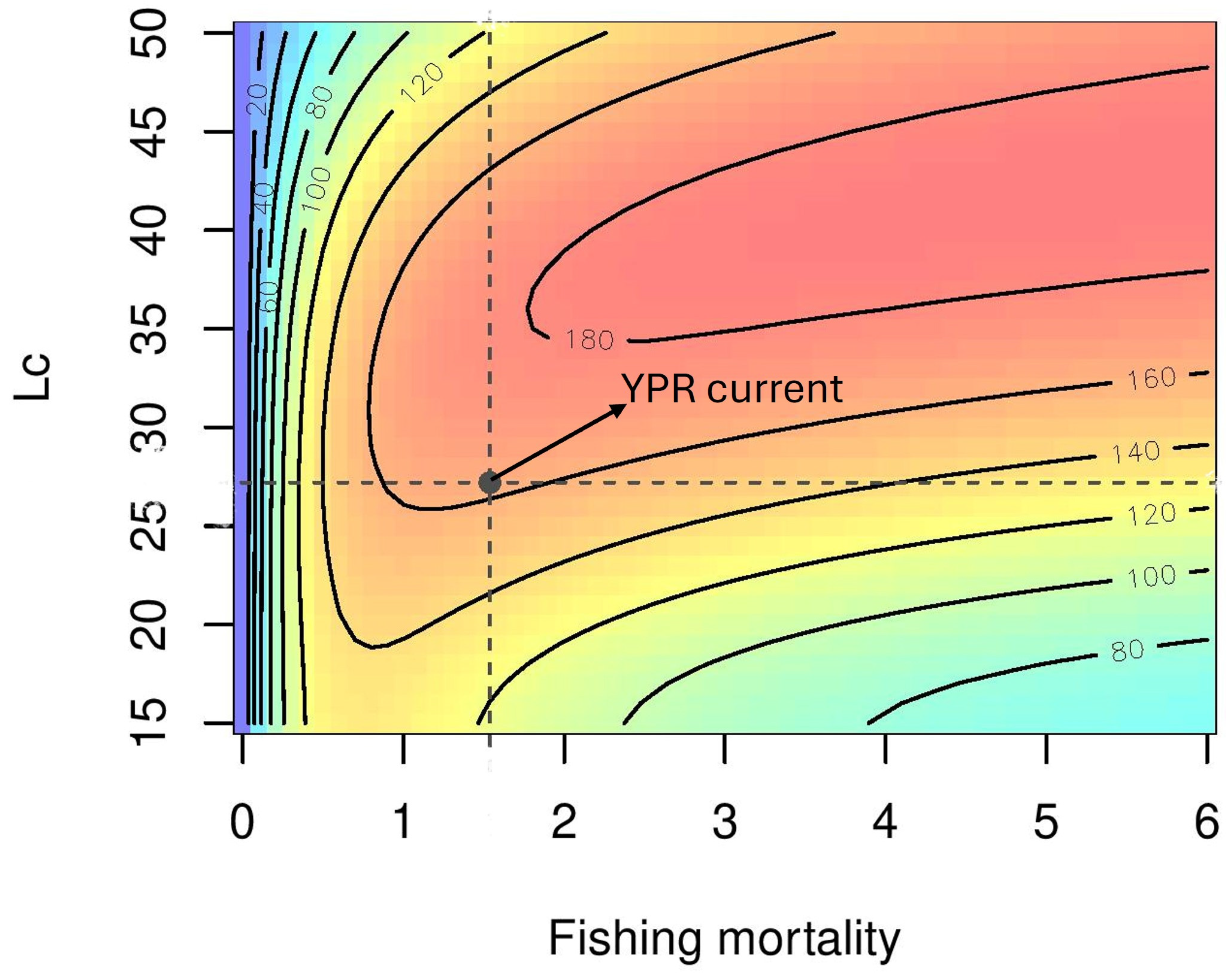 Fishes 10 00238 g008