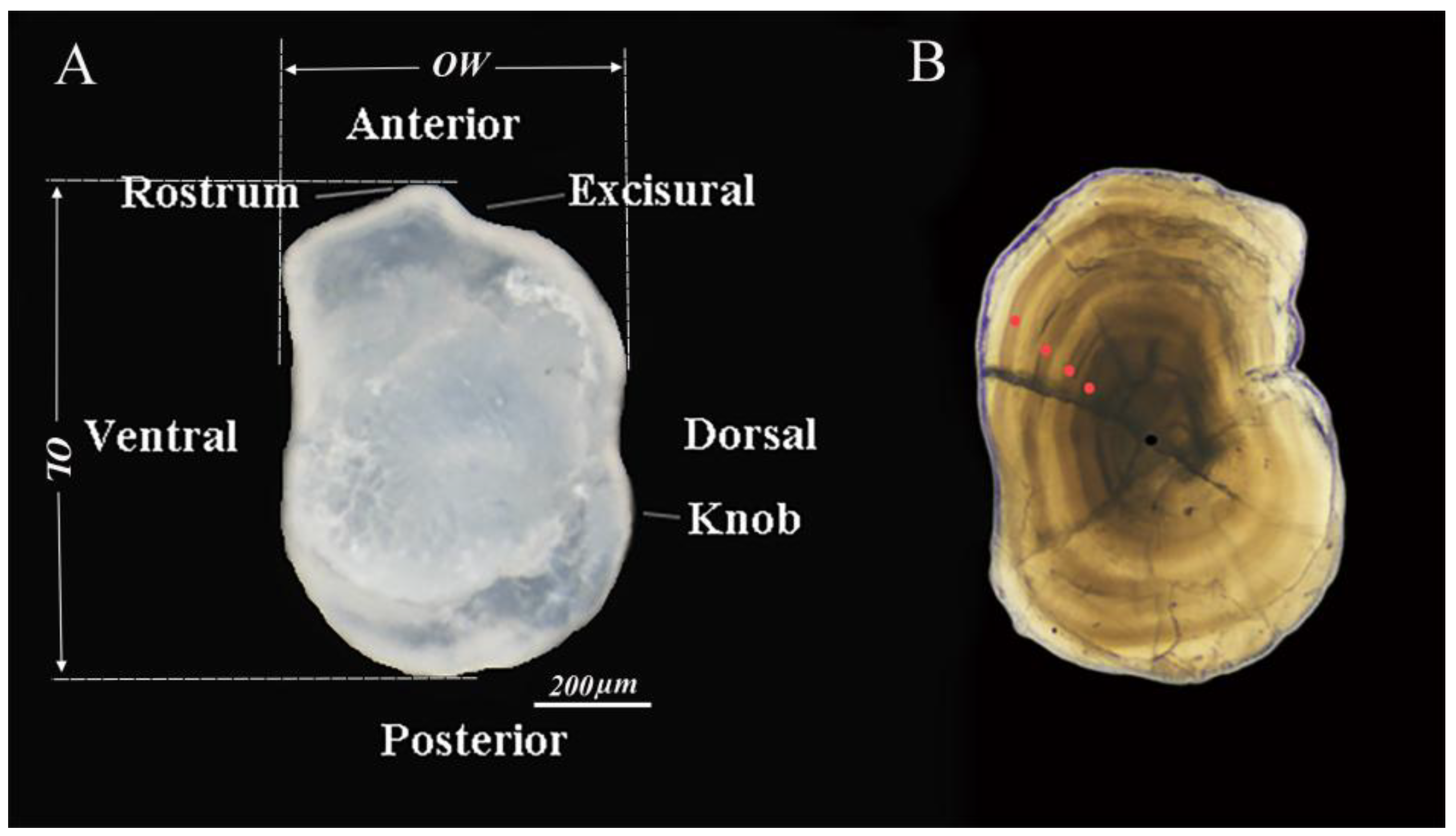 Fishes 10 00239 g002