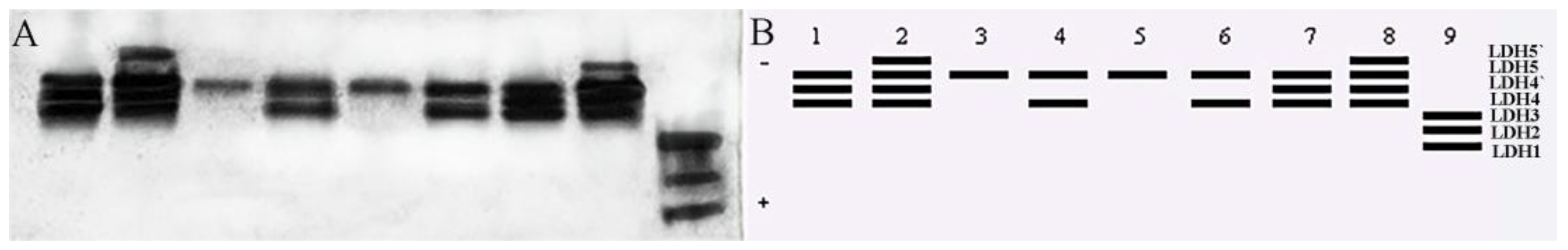 Fishes 10 00239 g007