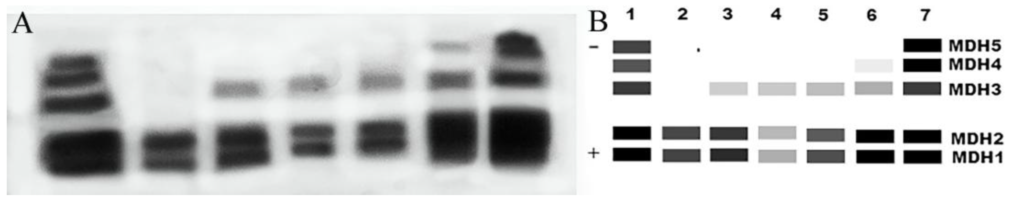 Fishes 10 00239 g008