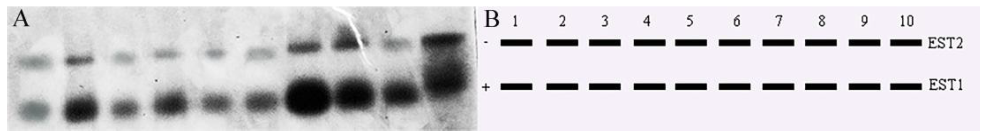 Fishes 10 00239 g009