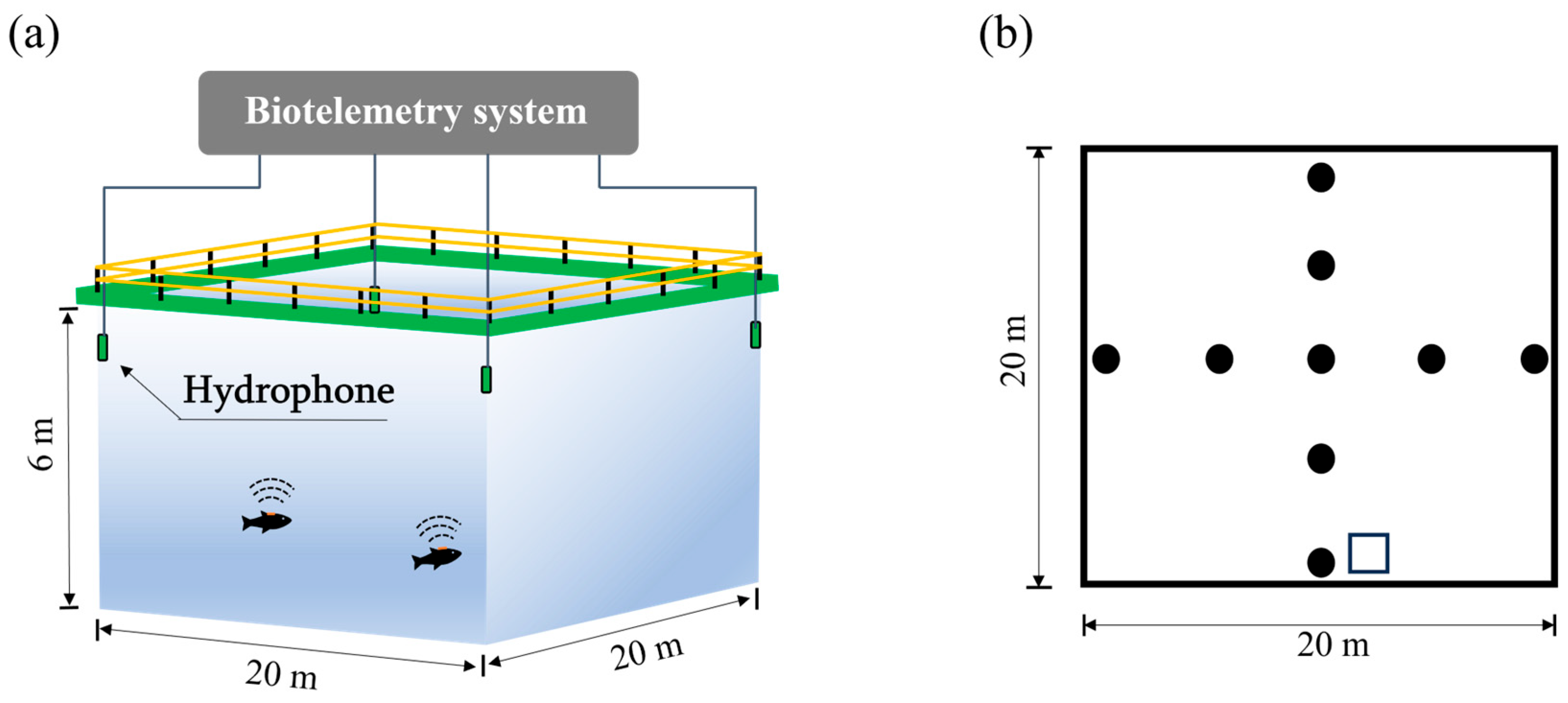 Fishes 10 00250 g001