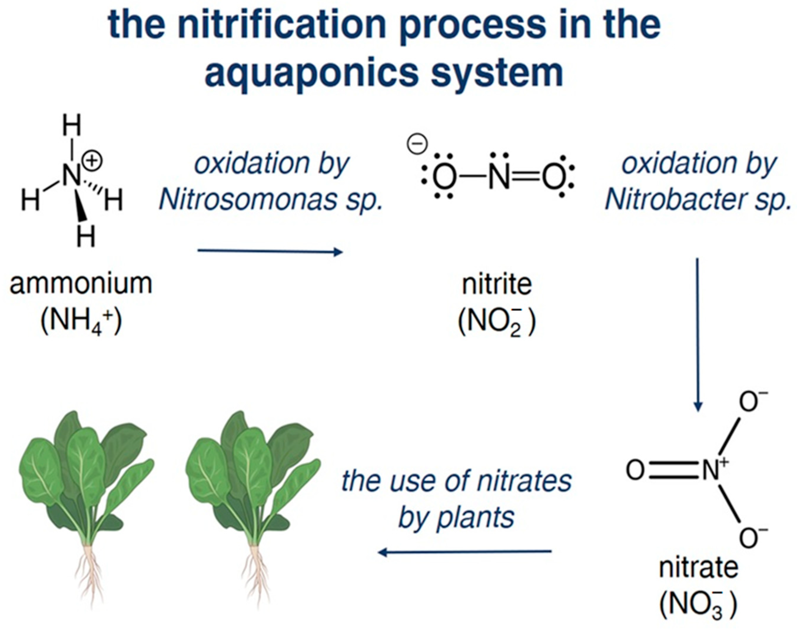 Fishes 10 00251 g001