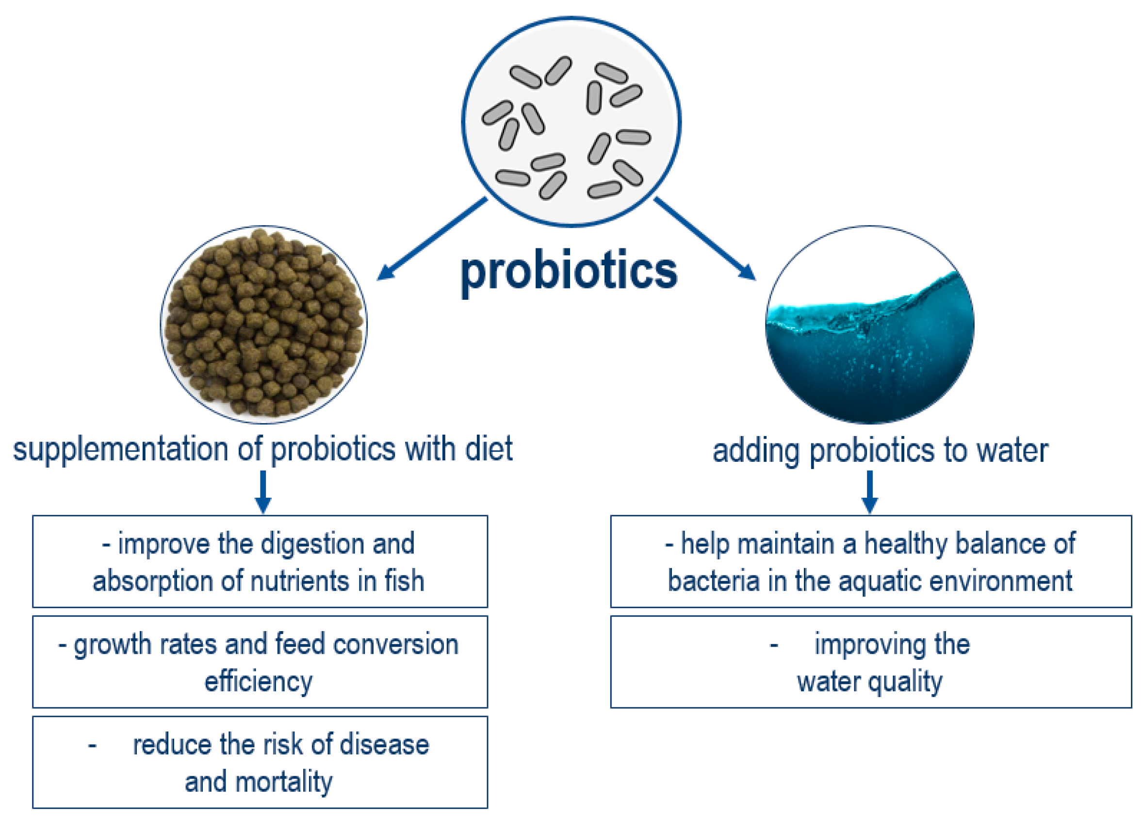 Fishes 10 00251 g002