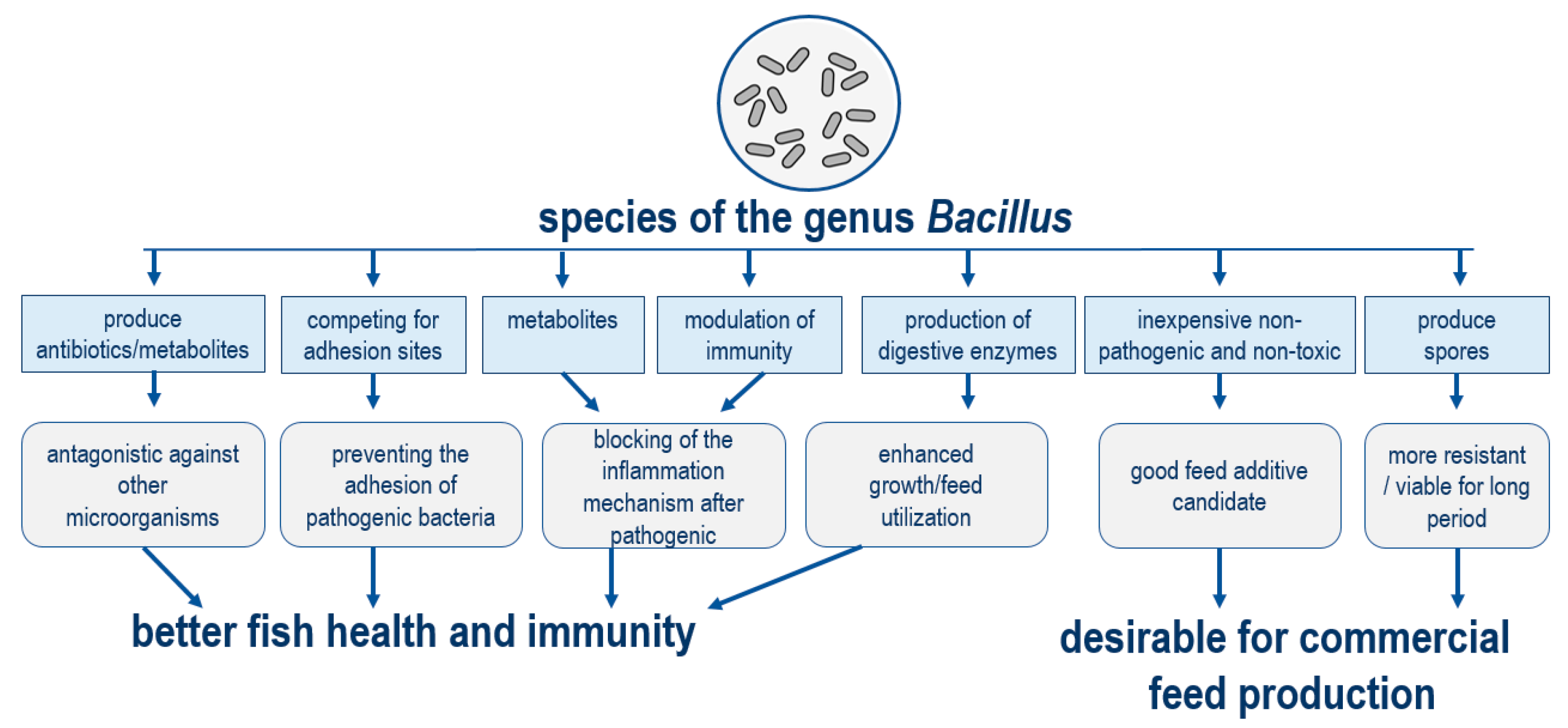 Fishes 10 00251 g003