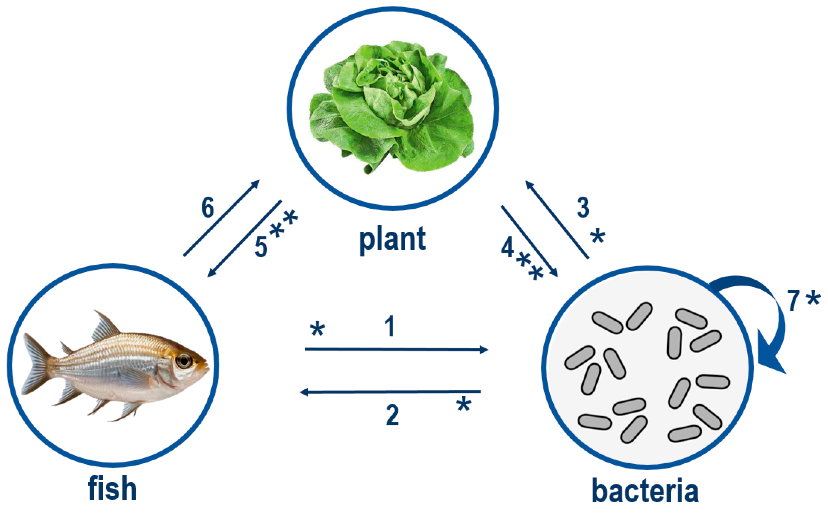 Fishes 10 00251 g004