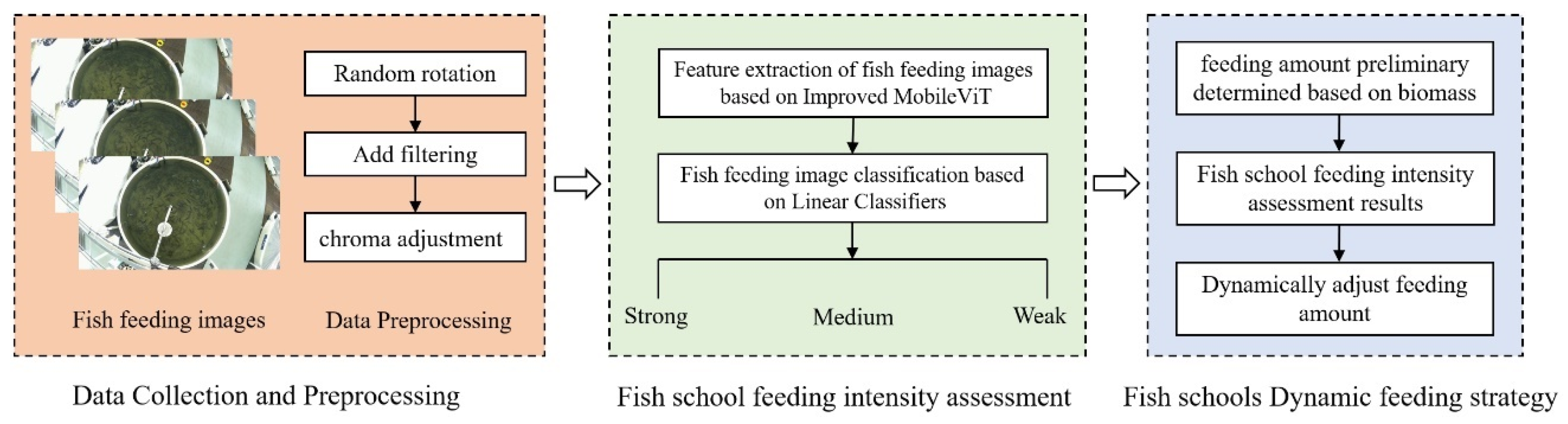 Fishes 10 00253 g001
