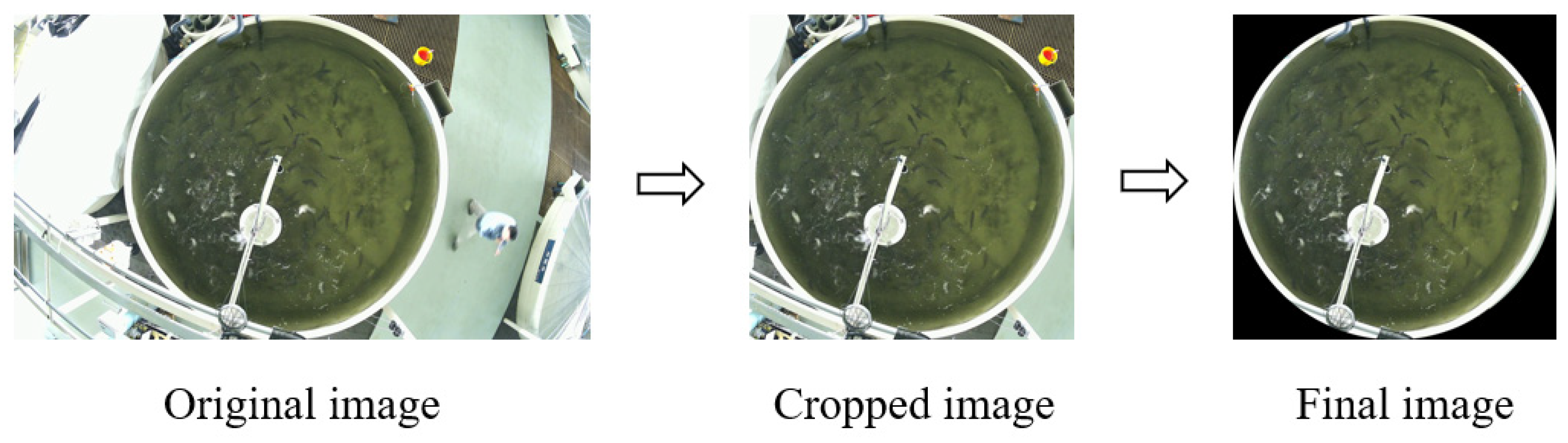 Fishes 10 00253 g002