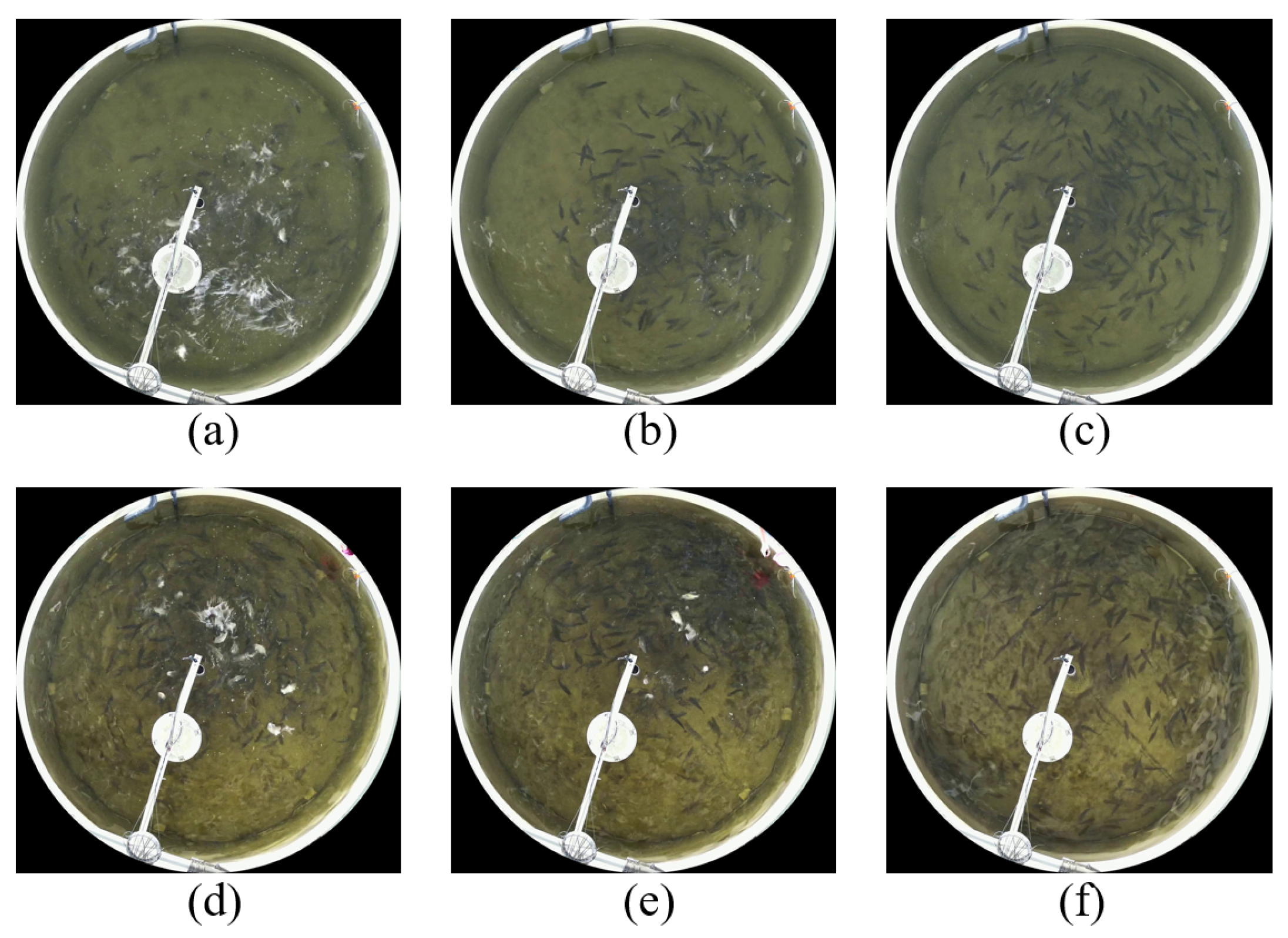 Fishes 10 00253 g003