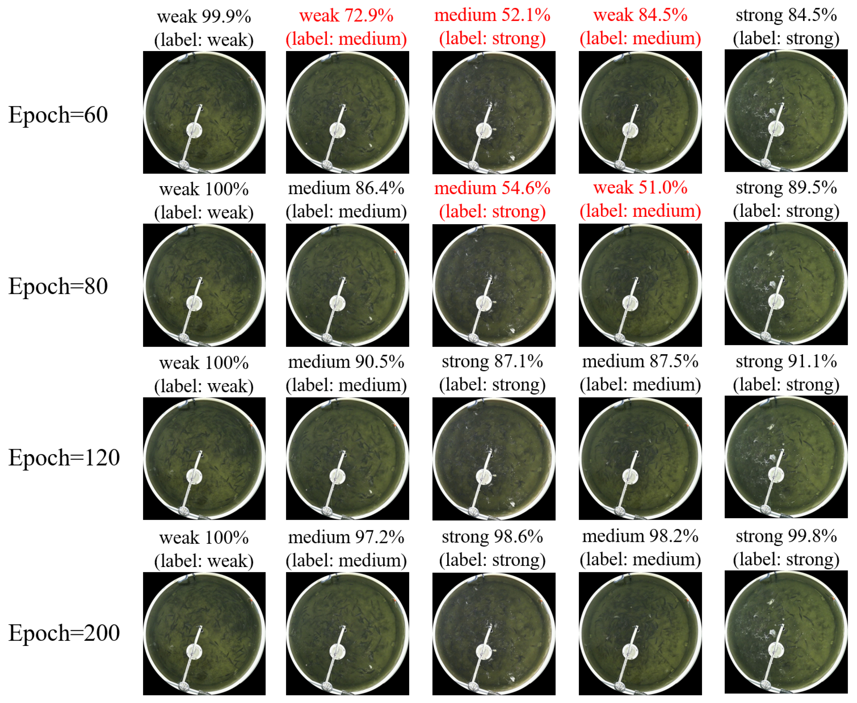 Fishes 10 00253 g012