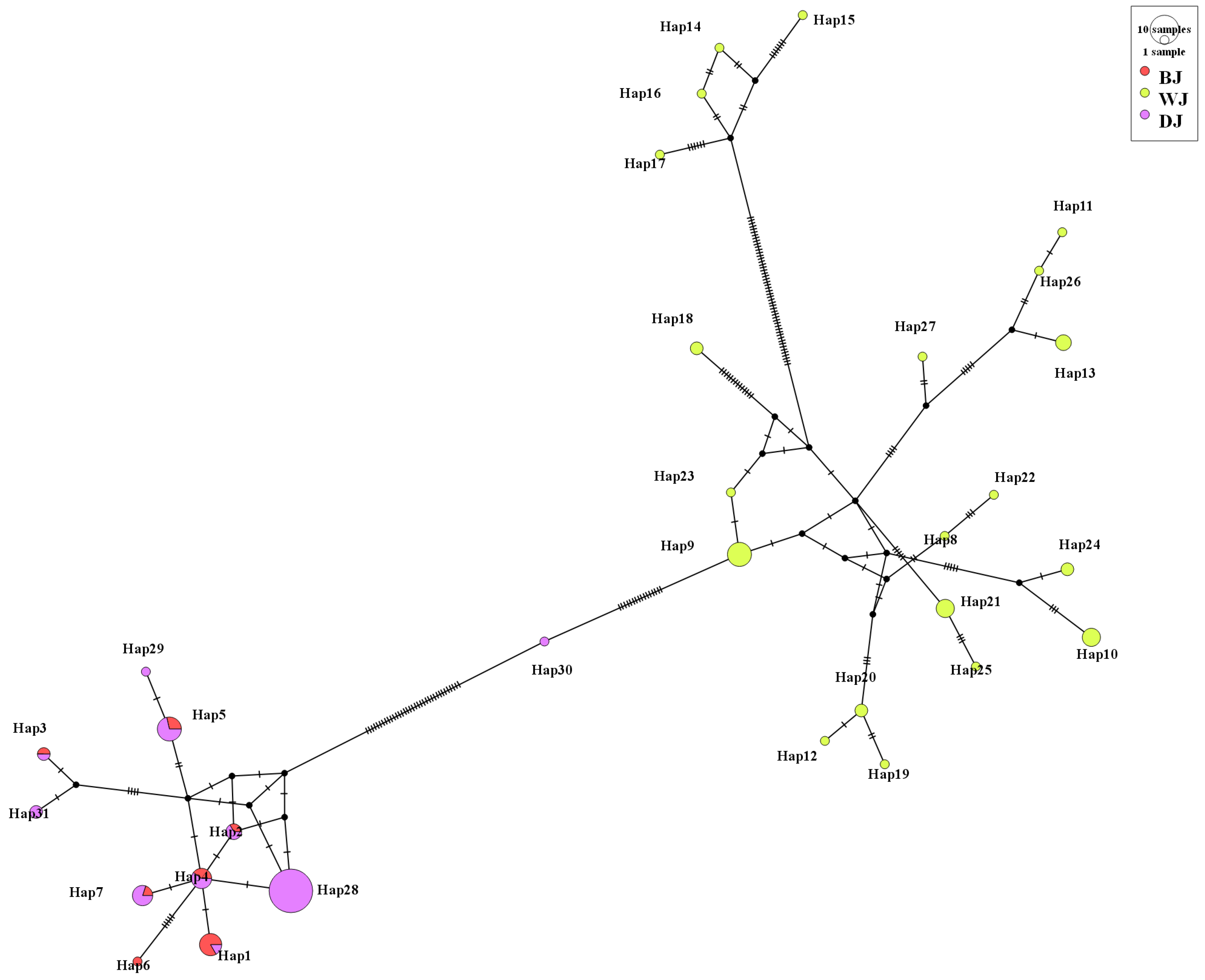 Fishes 10 00264 g004