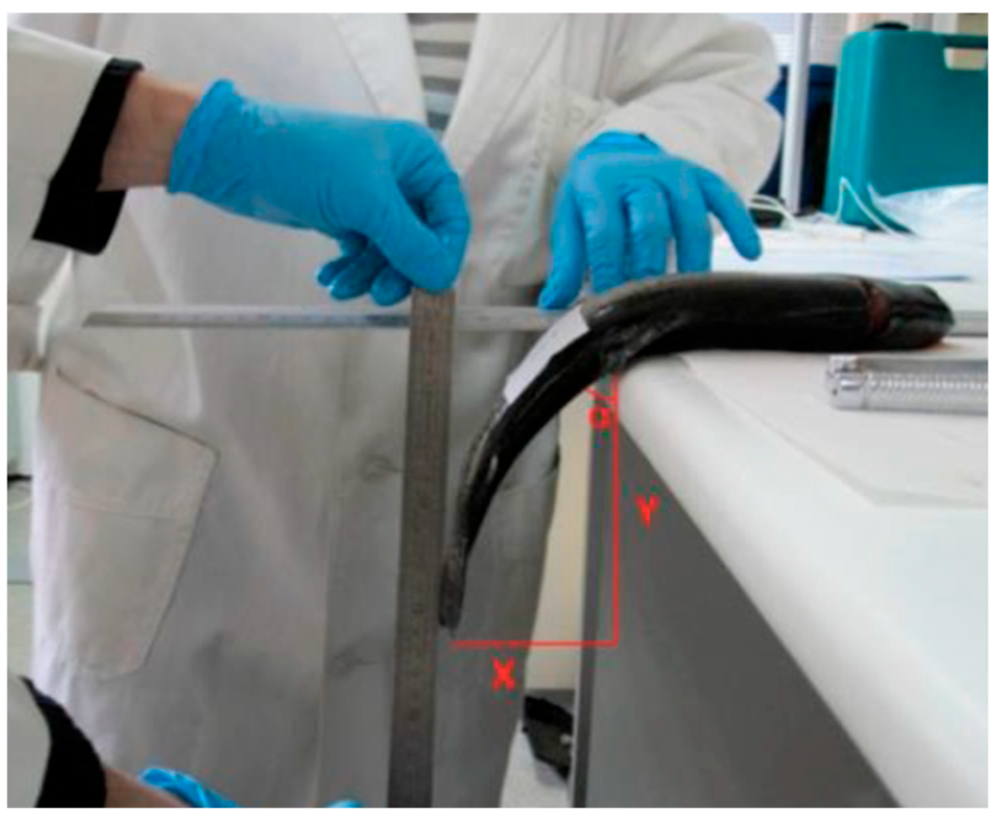 Fishes 10 00267 g001 Fishes 10 00267 g001