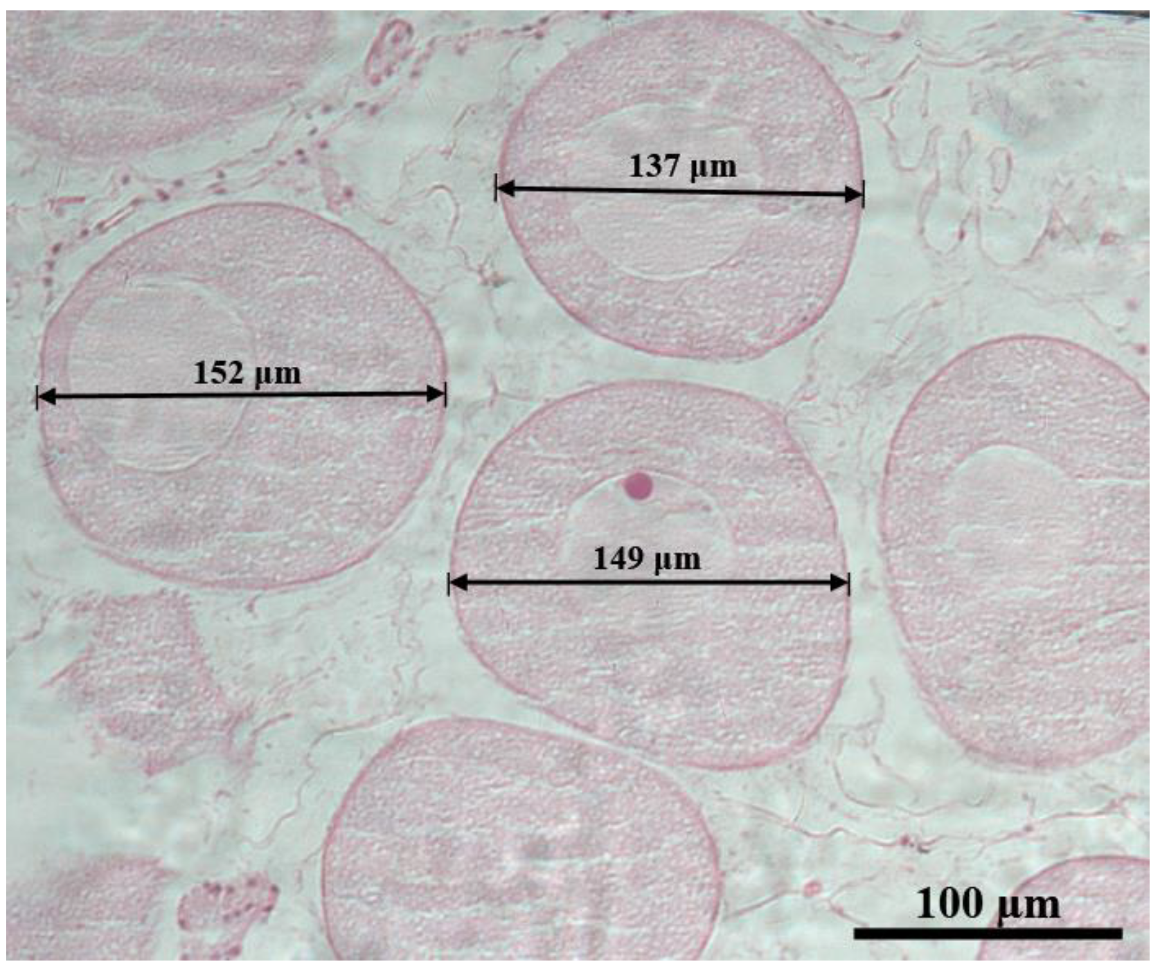 Fishes 10 00283 g009