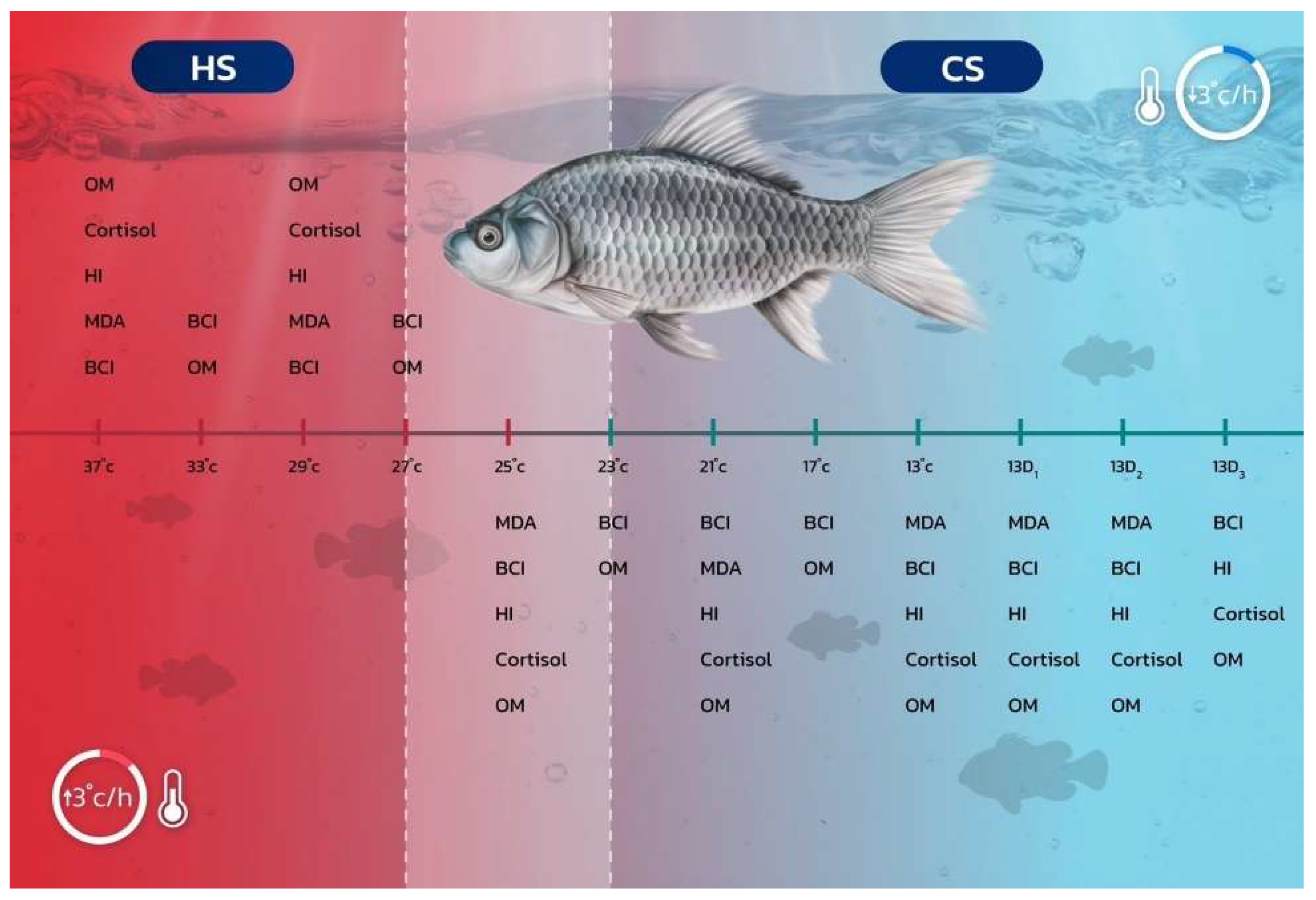 Fishes 10 00287 g001