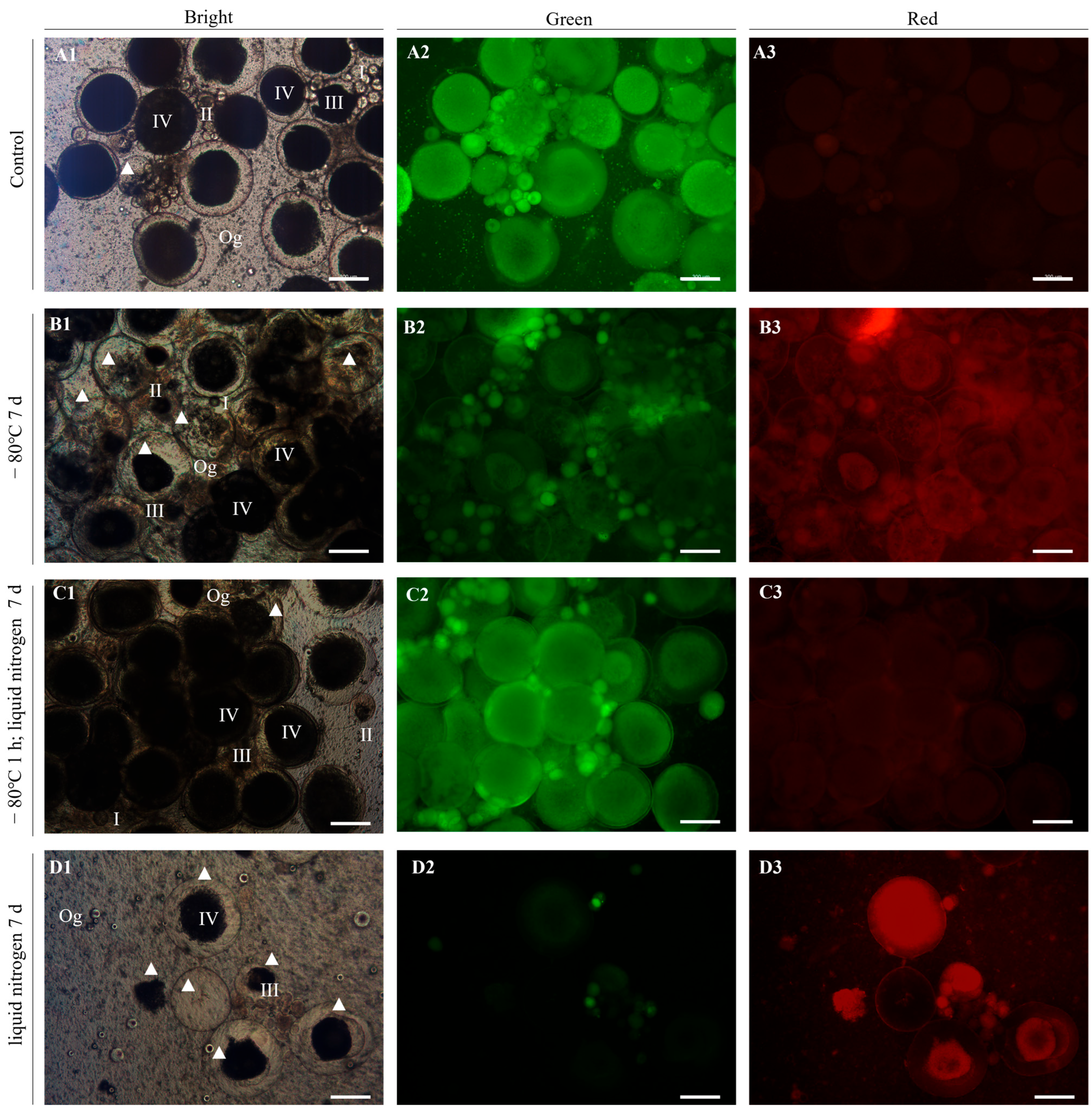 Fishes 10 00288 g002