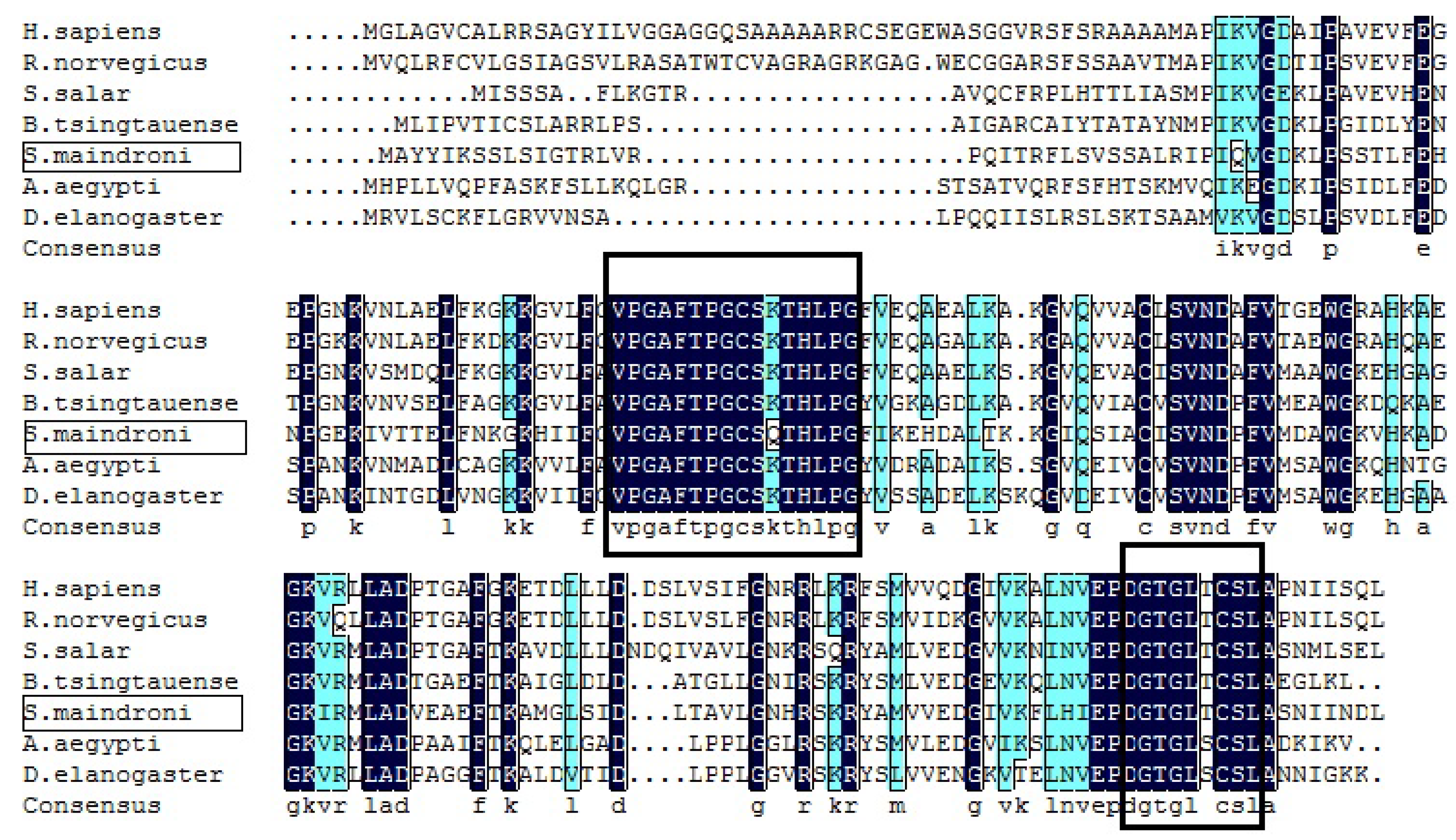 Fishes 10 00289 g002