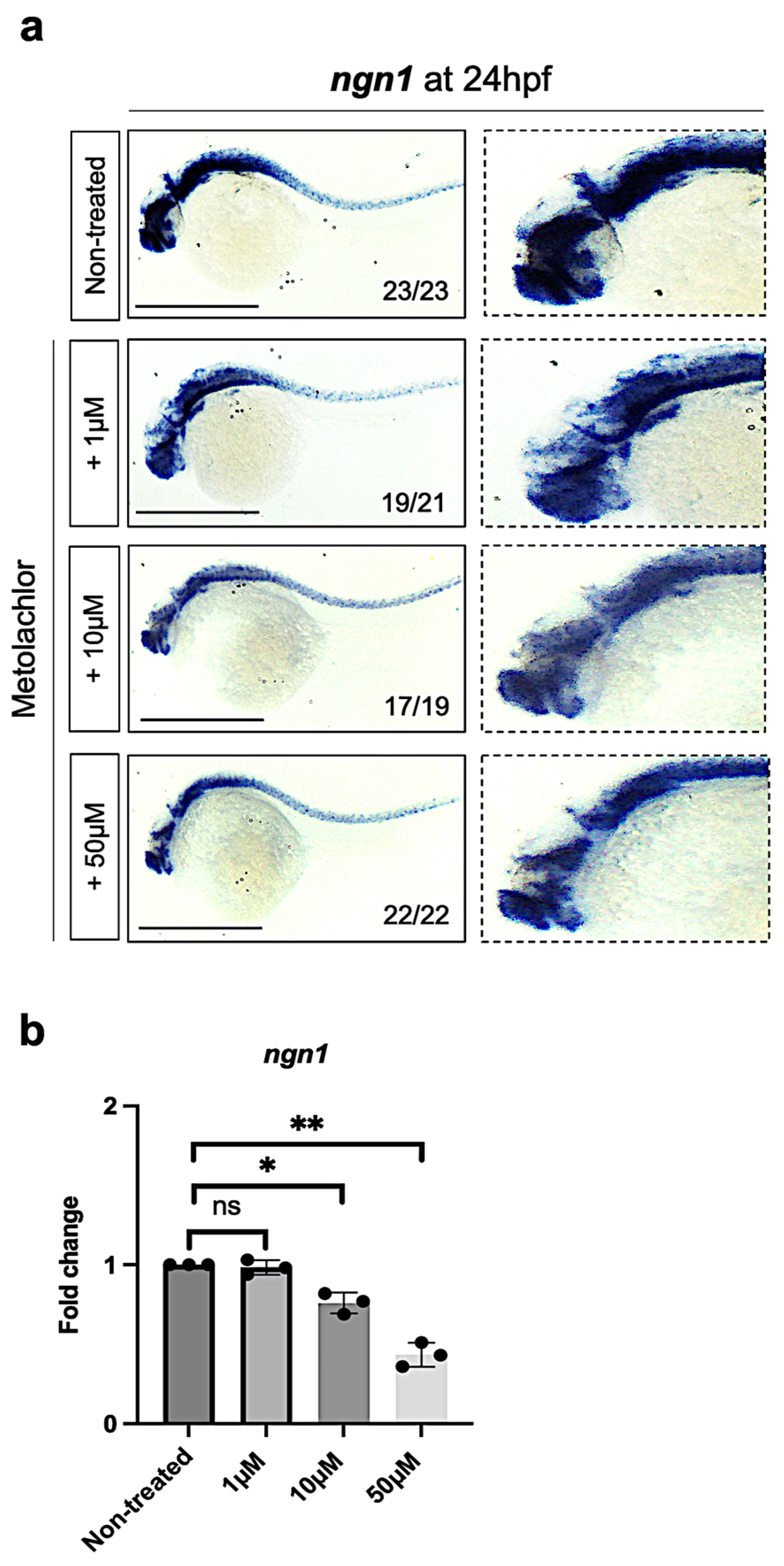 Fishes 10 00292 g002