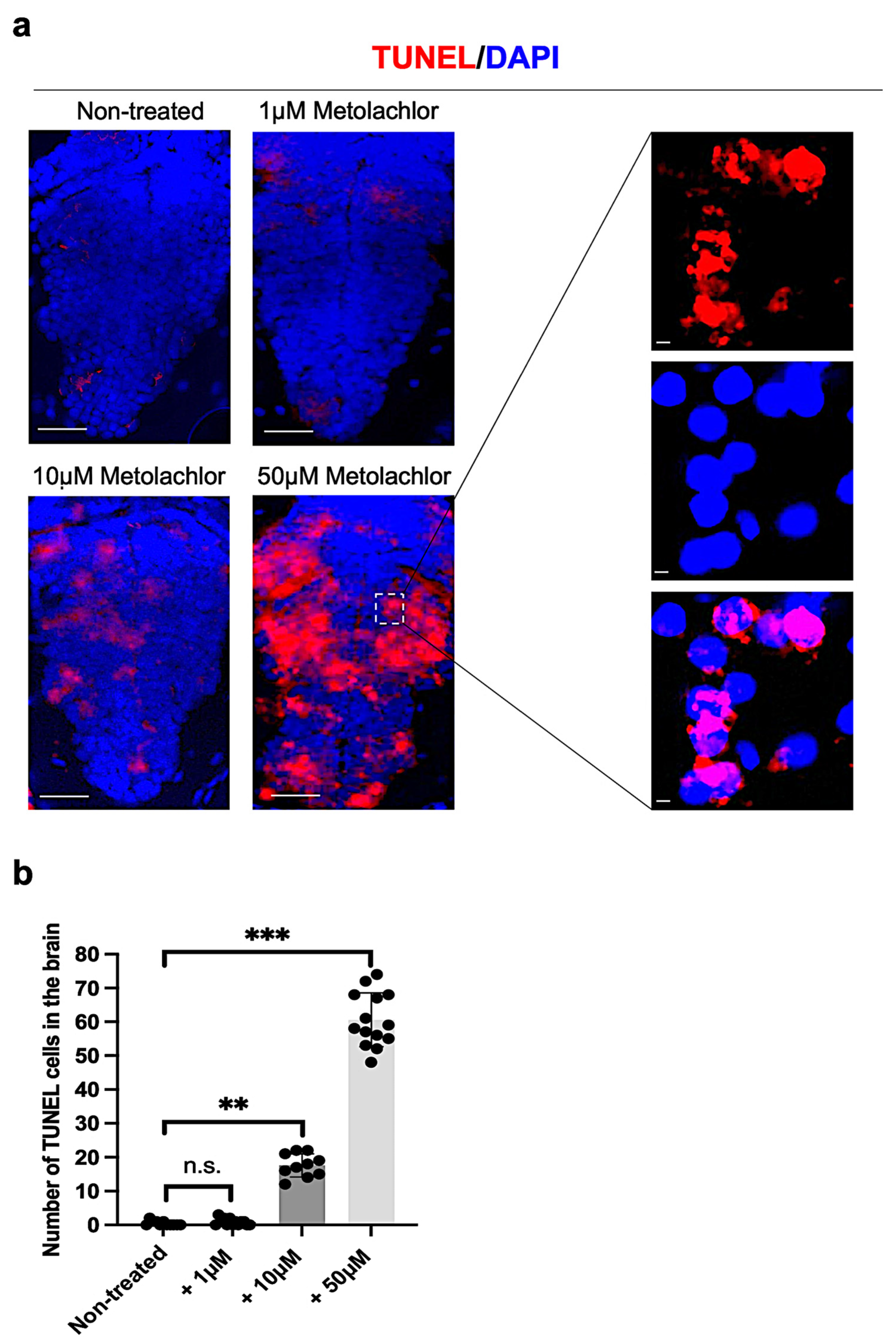 Fishes 10 00292 g004