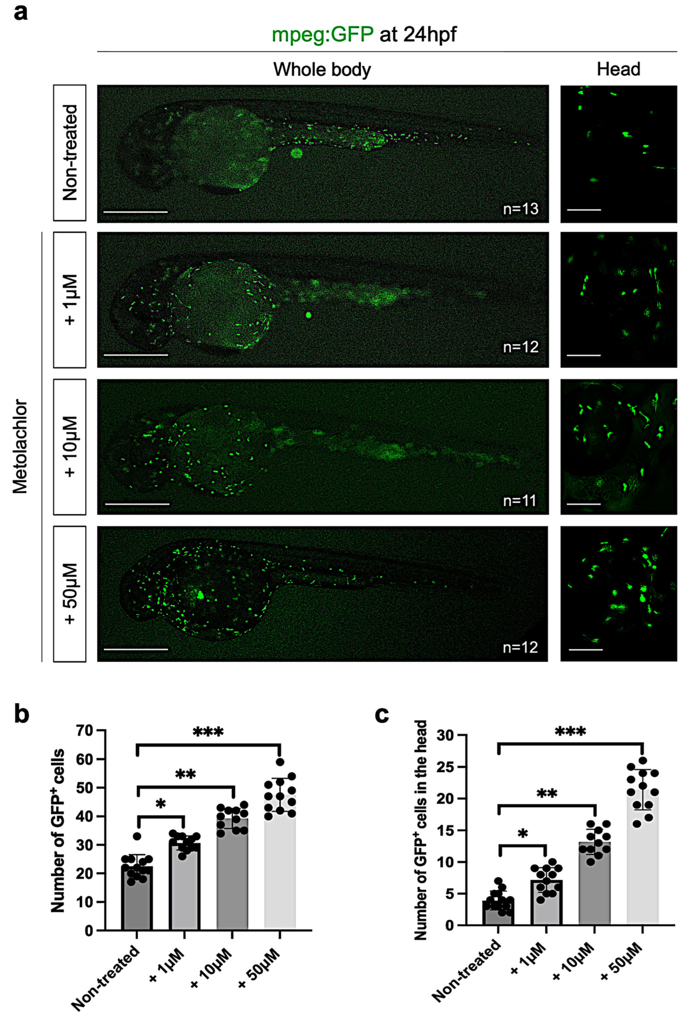Fishes 10 00292 g006