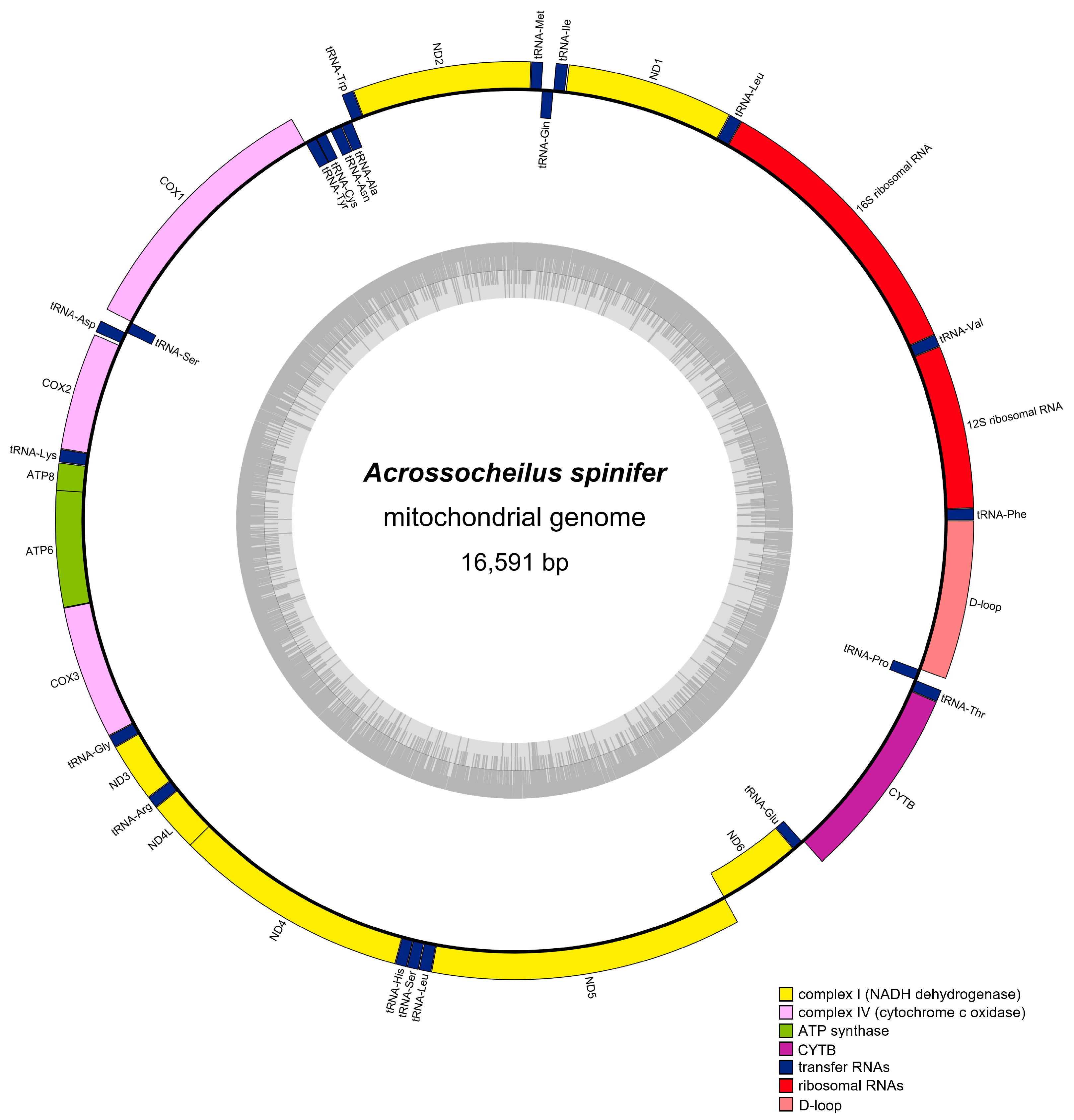 Fishes 10 00296 g001