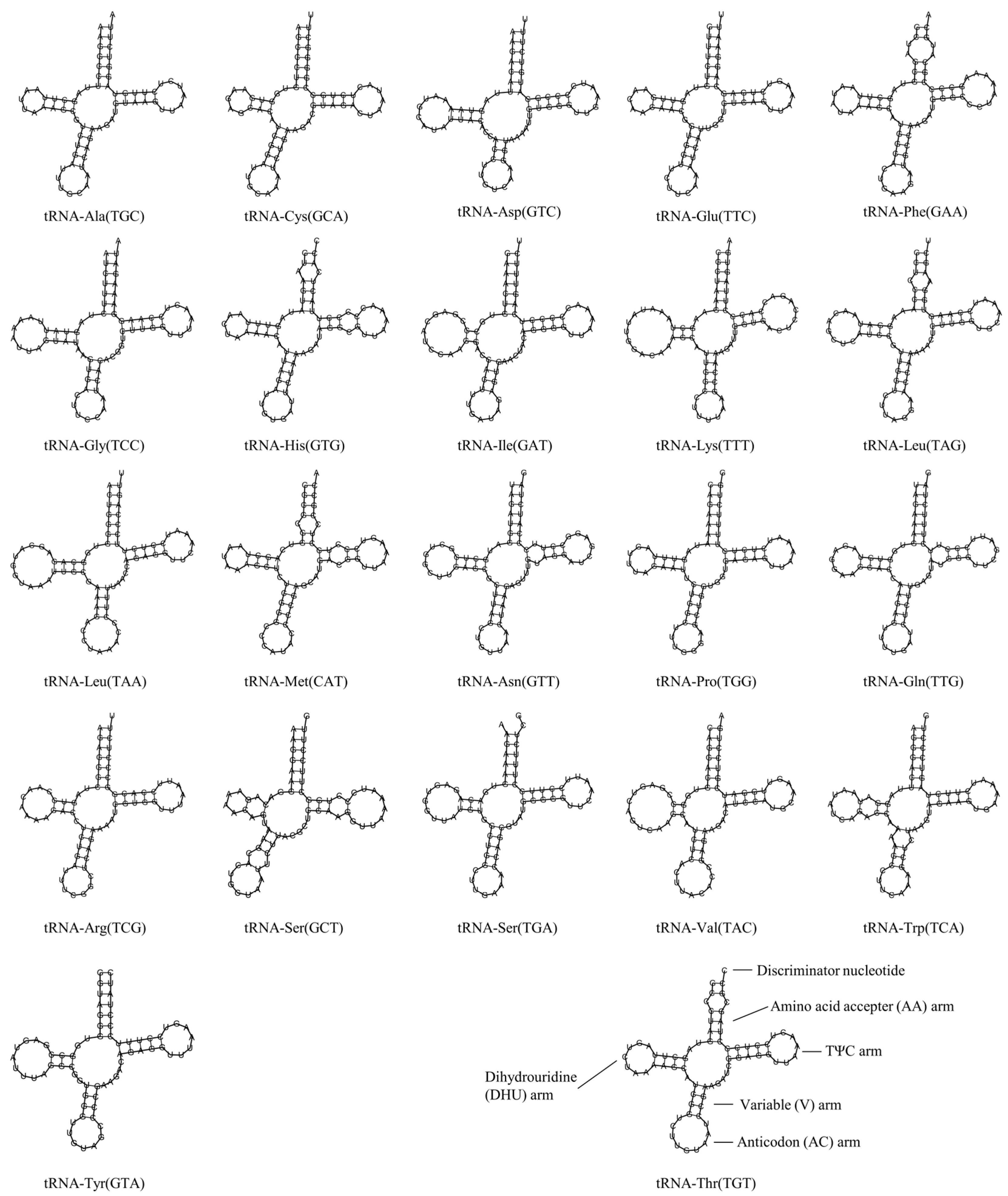 Fishes 10 00296 g004