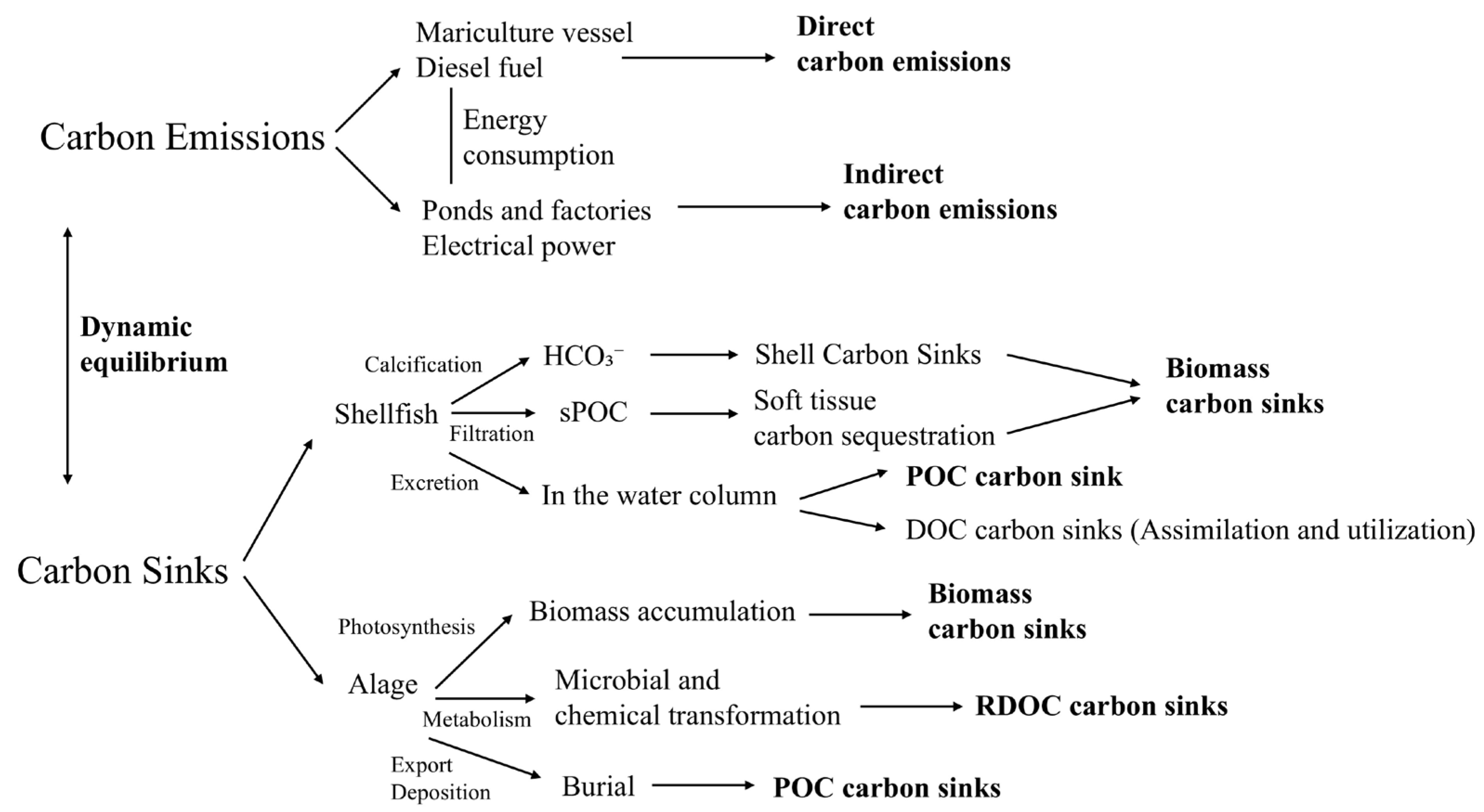 Fishes 10 00301 g001