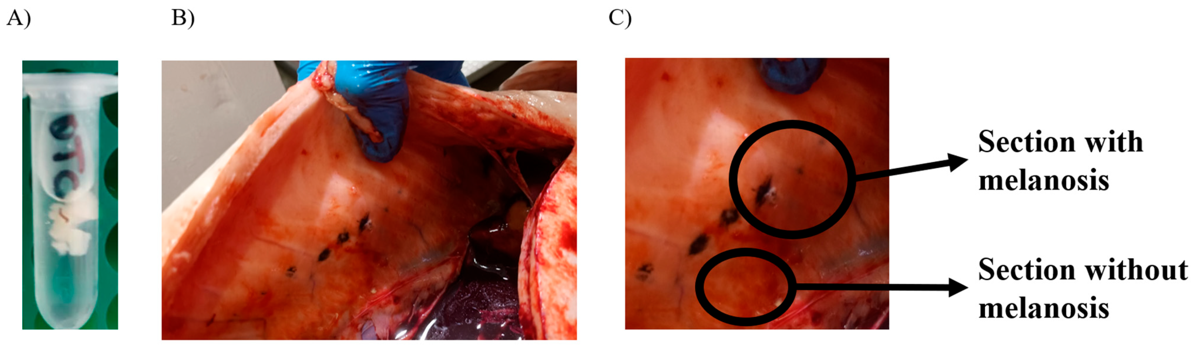 Fishes 10 00302 g001