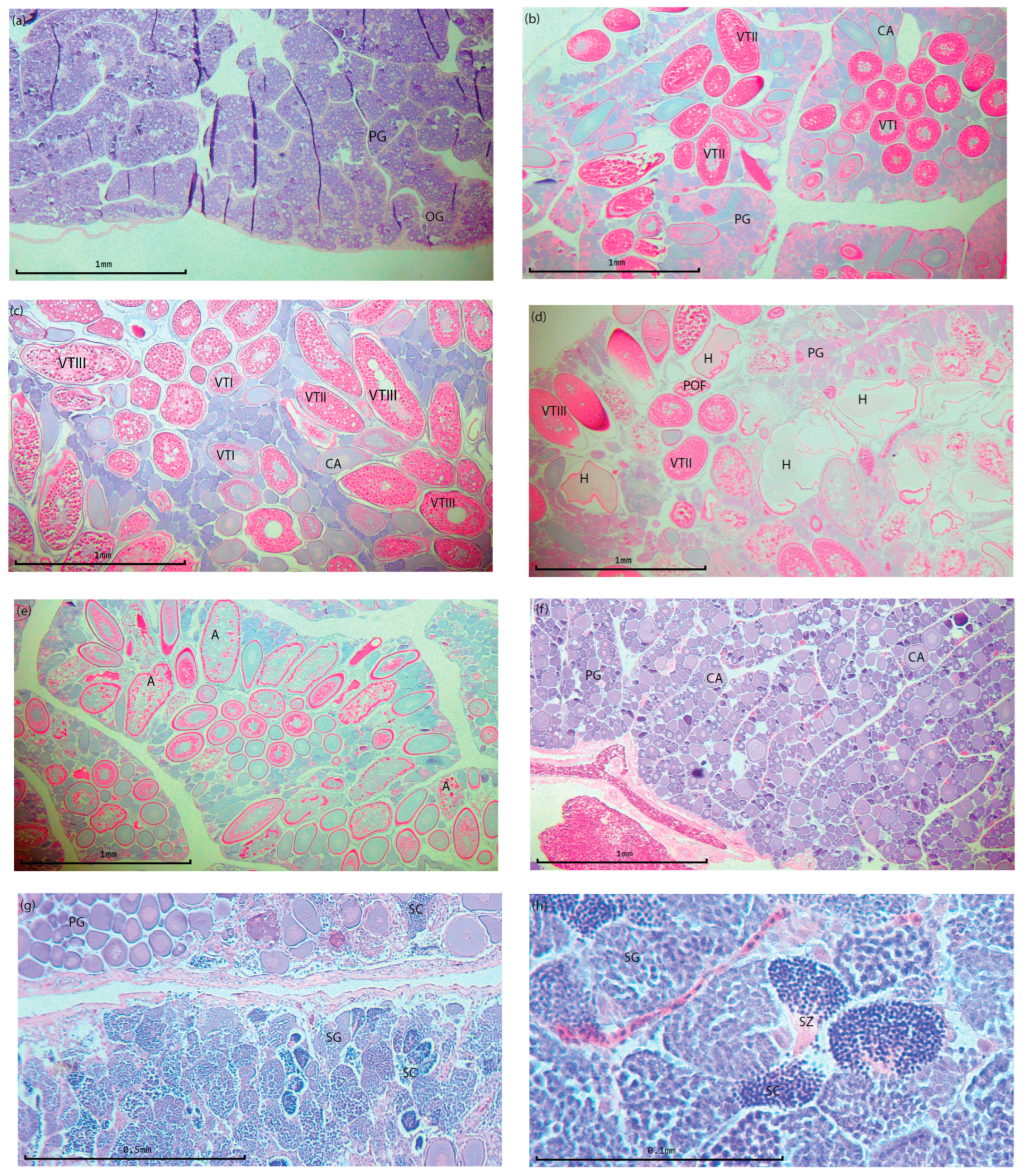 Fishes 10 00303 g002