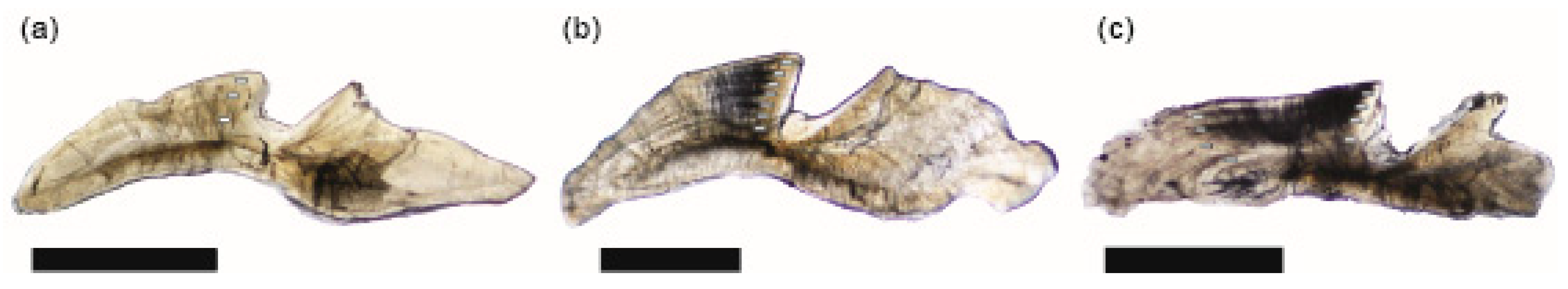 Fishes 10 00303 g003