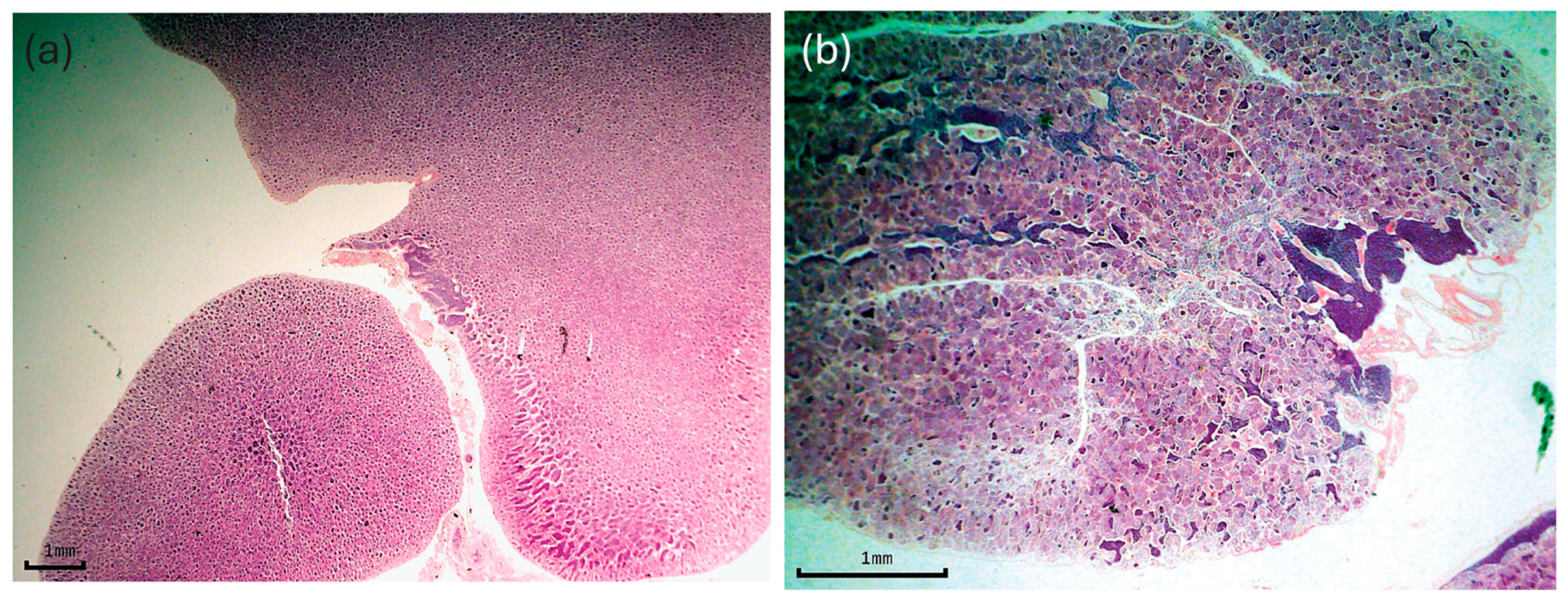 Fishes 10 00303 g006