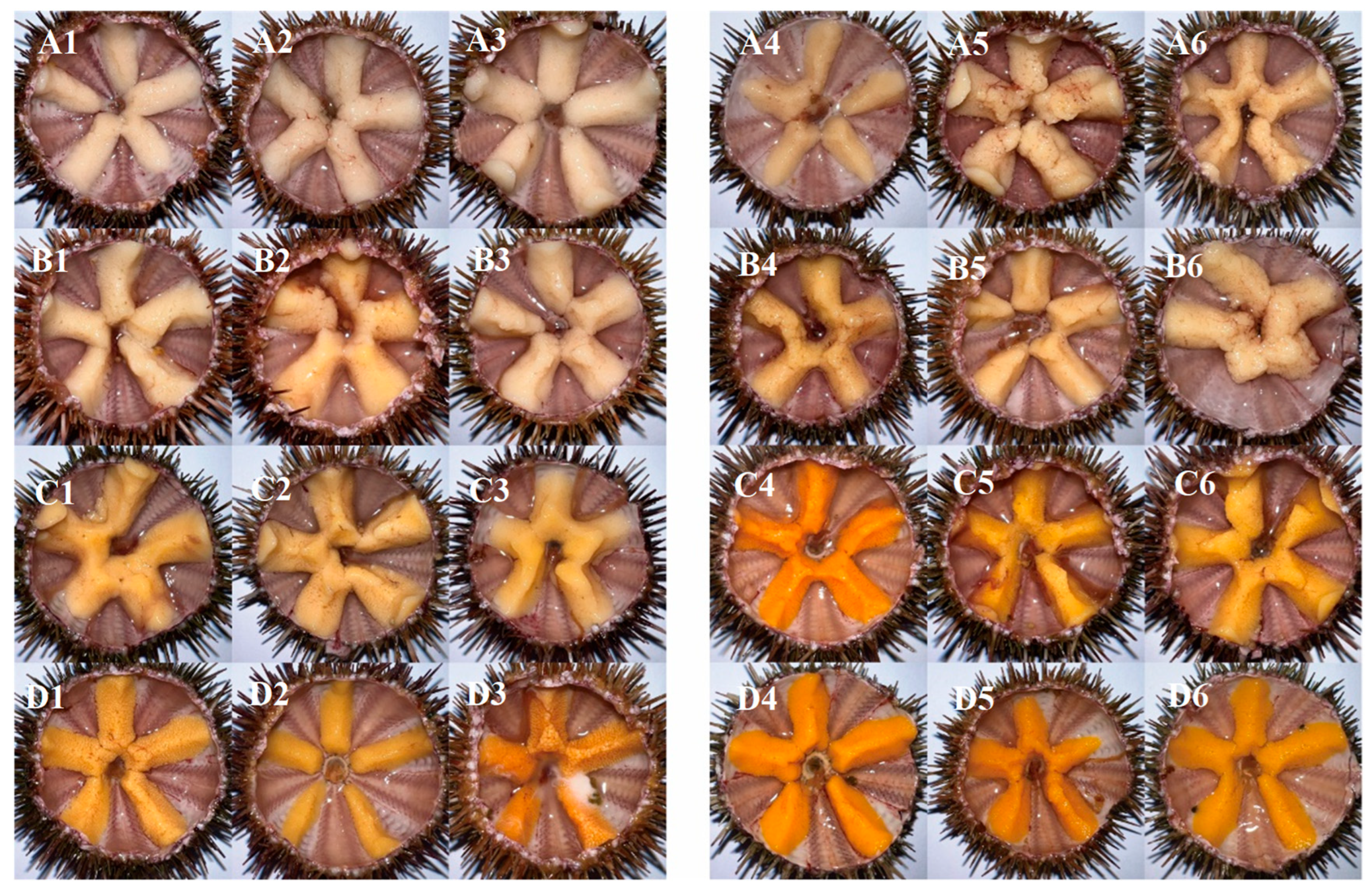 Fishes 10 00304 g001