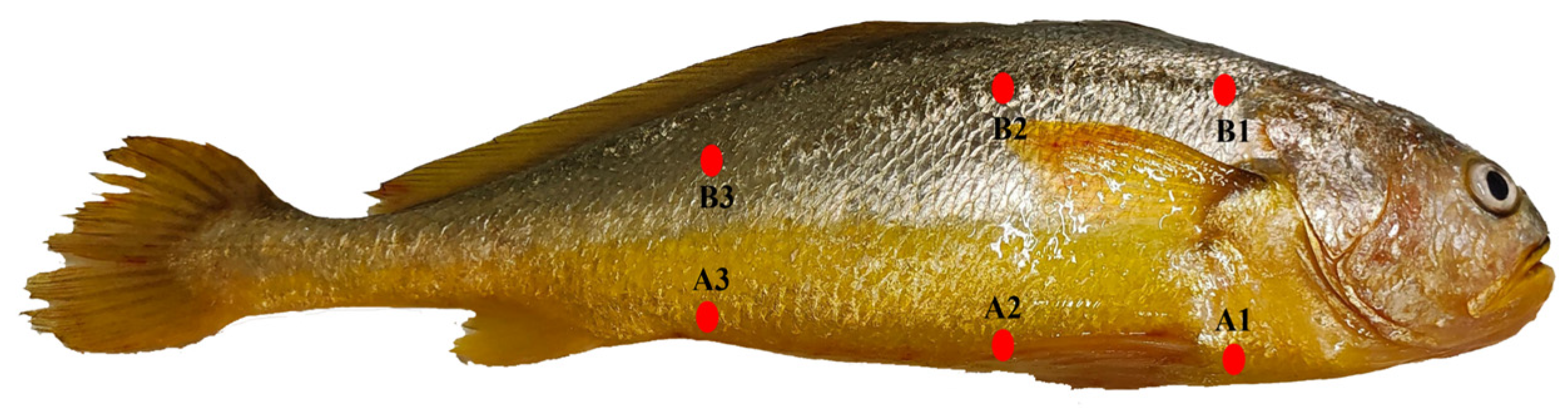 Fishes 10 00305 g002