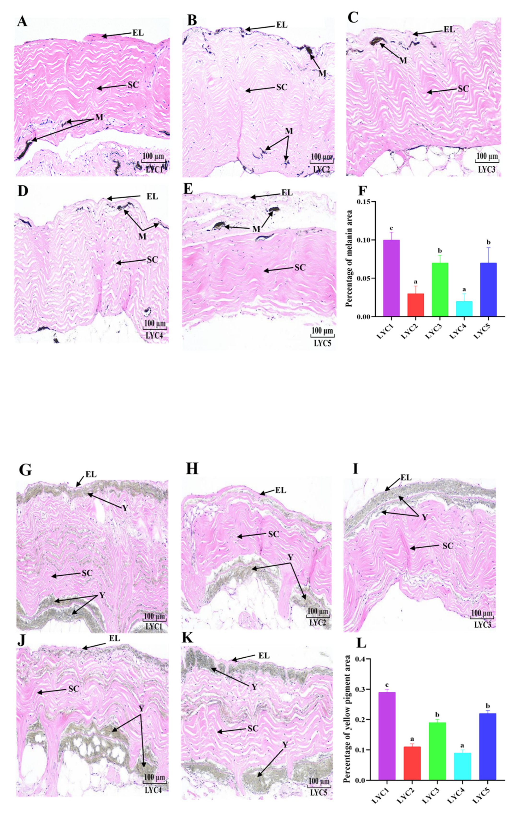 Fishes 10 00305 g004