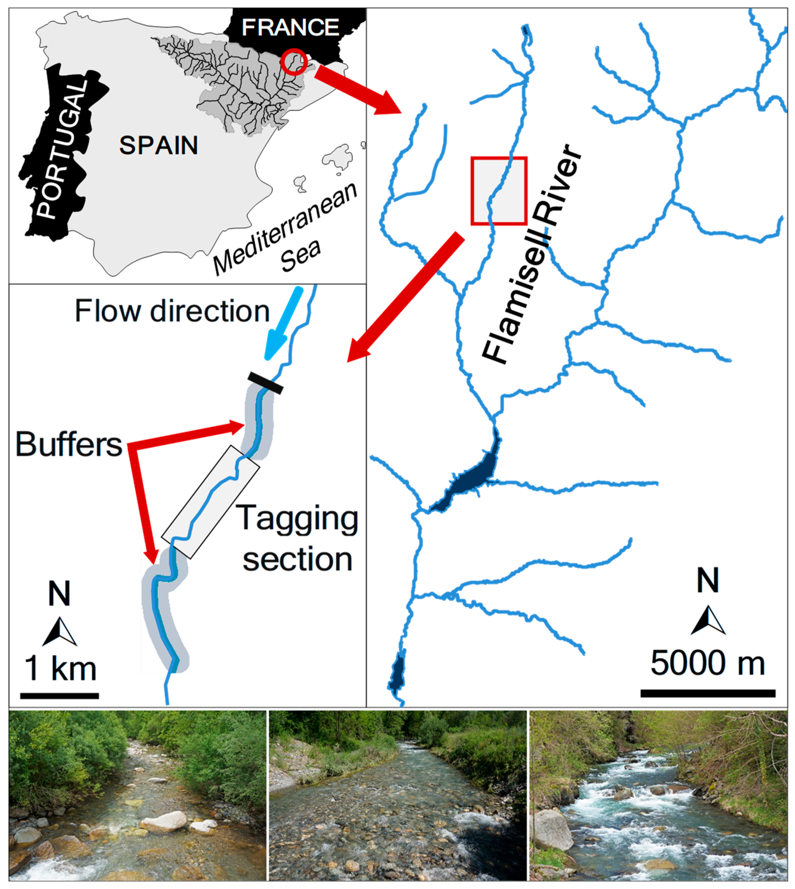 Fishes 10 00308 g001