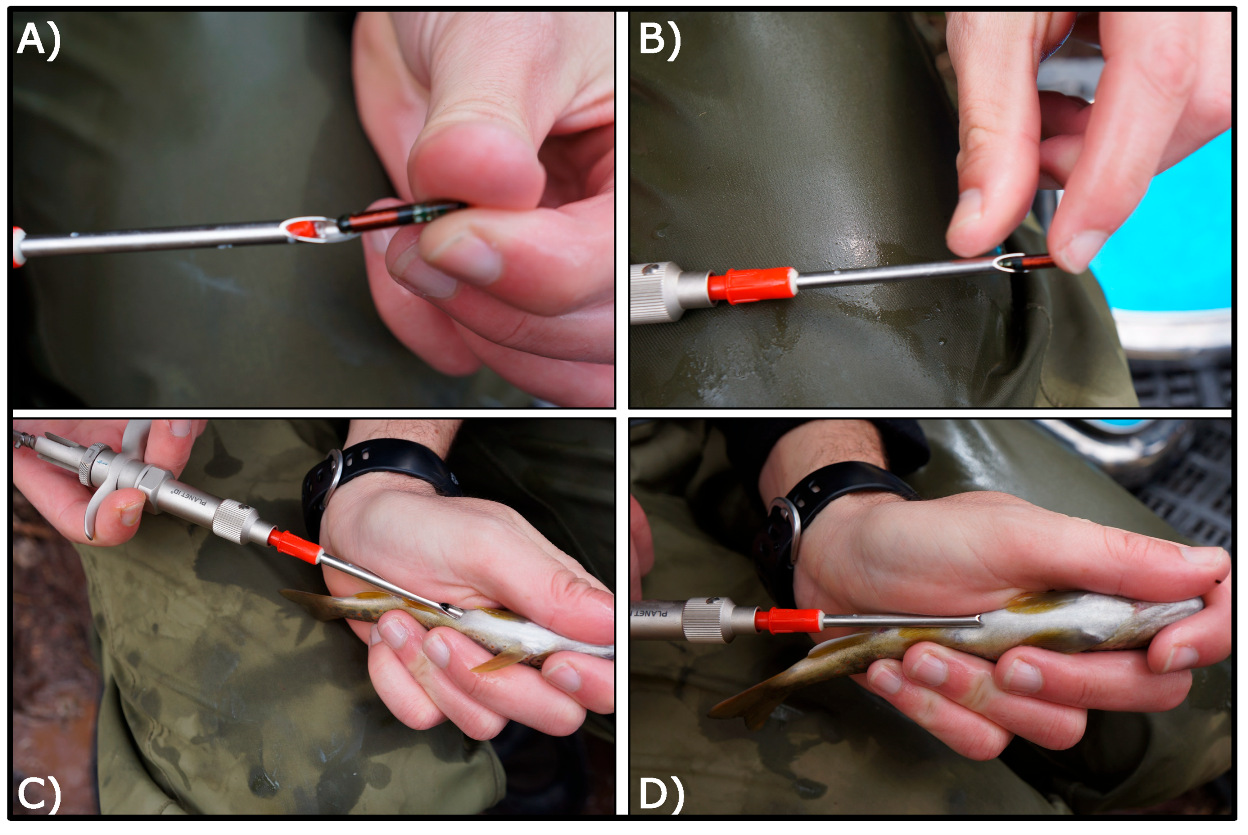 Fishes 10 00308 g002