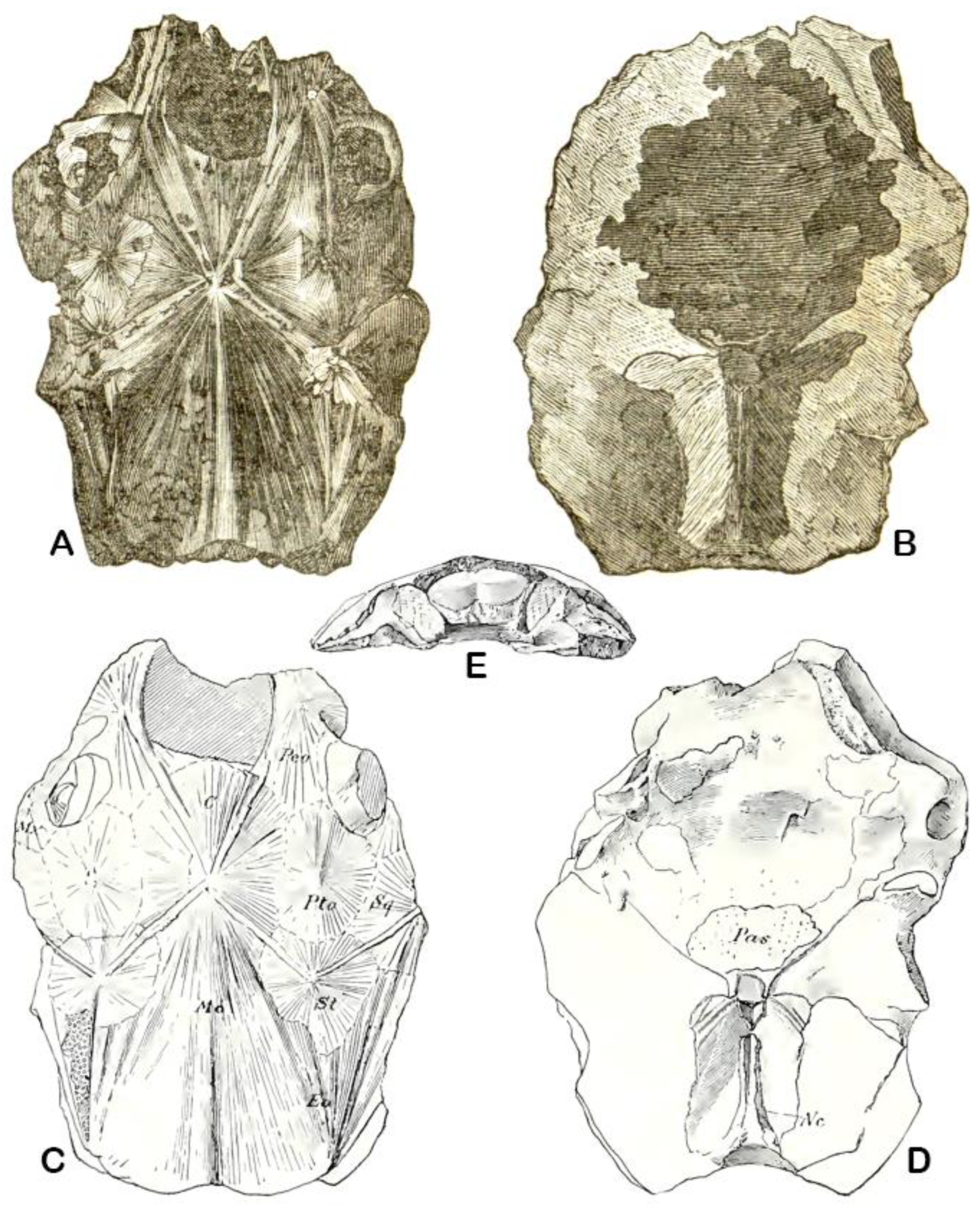 Fishes 10 00309 g001 Fishes 10 00309 g001