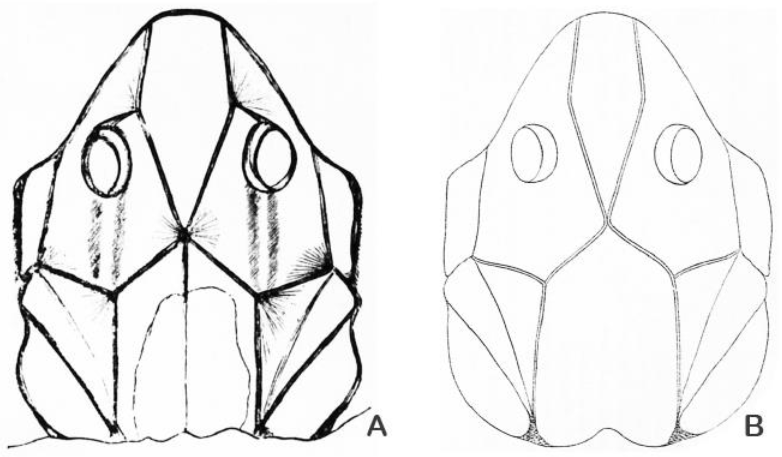 Fishes 10 00309 g003 Fishes 10 00309 g003