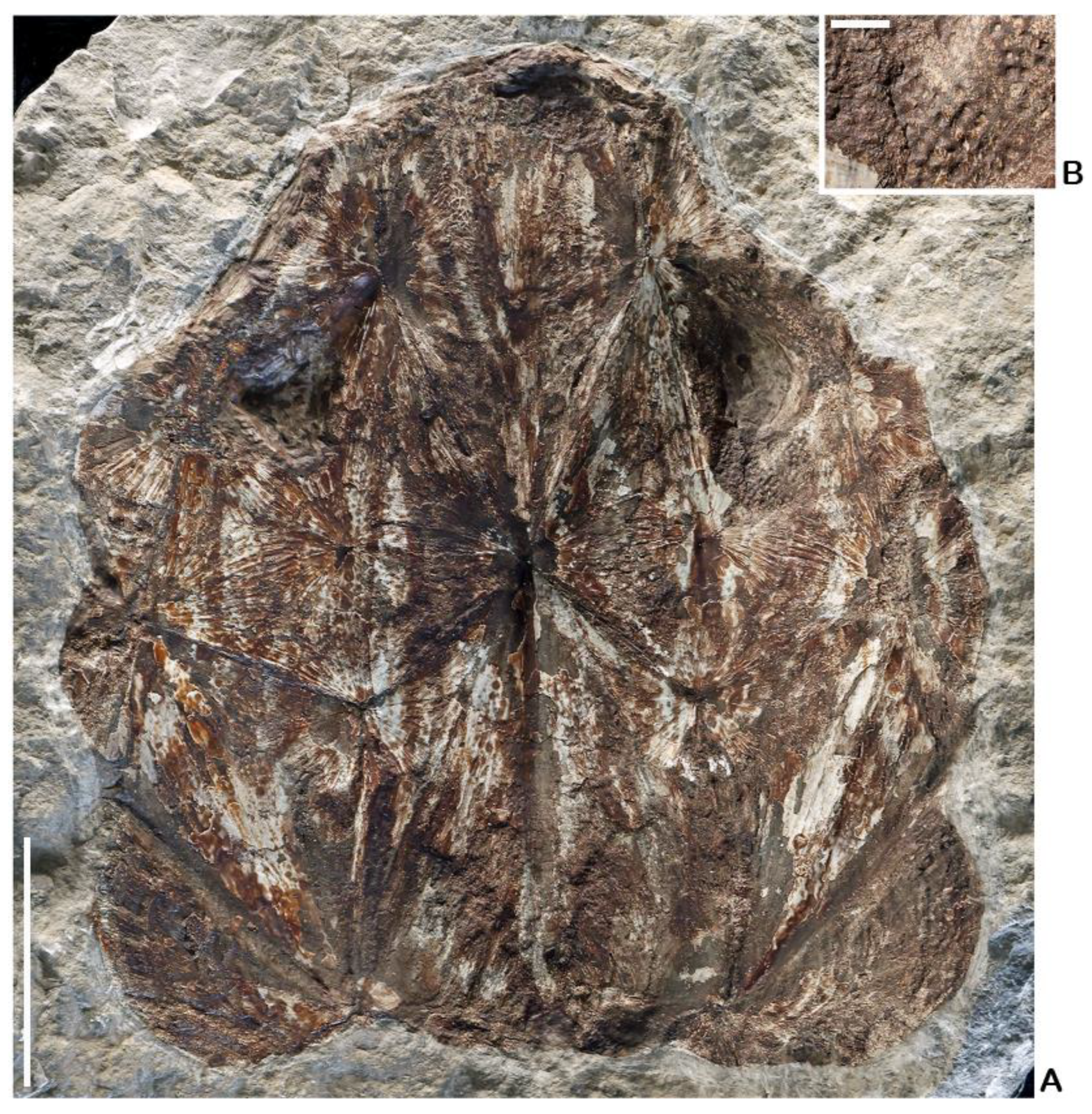 Fishes 10 00309 g004 Fishes 10 00309 g004