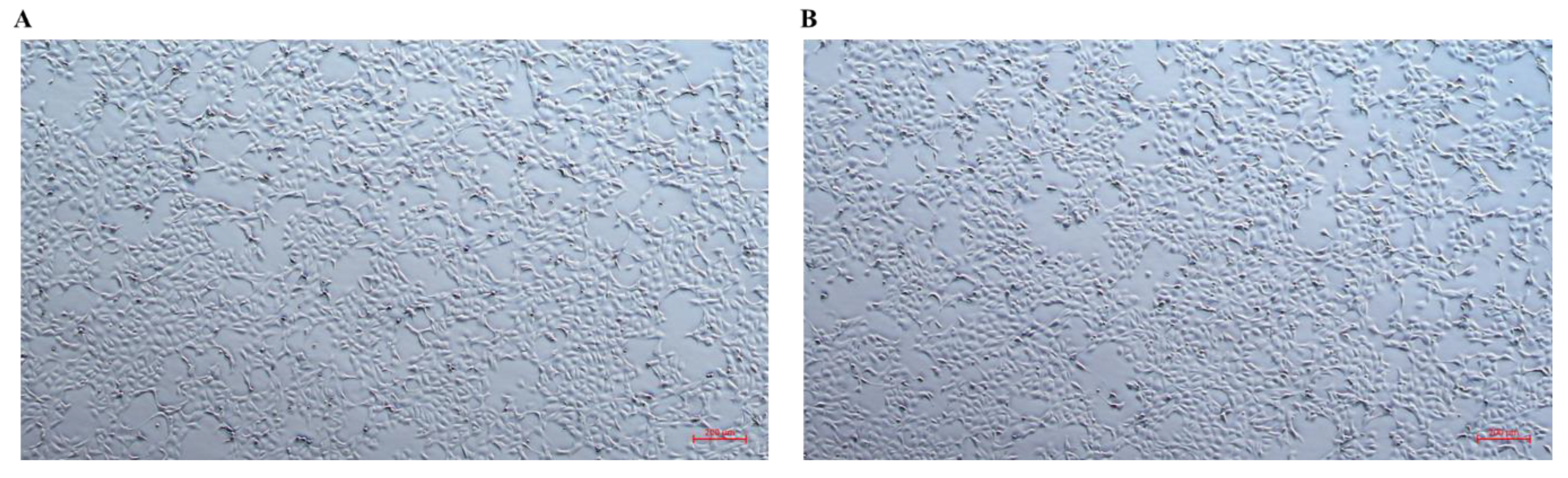 Fishes 10 00313 g001