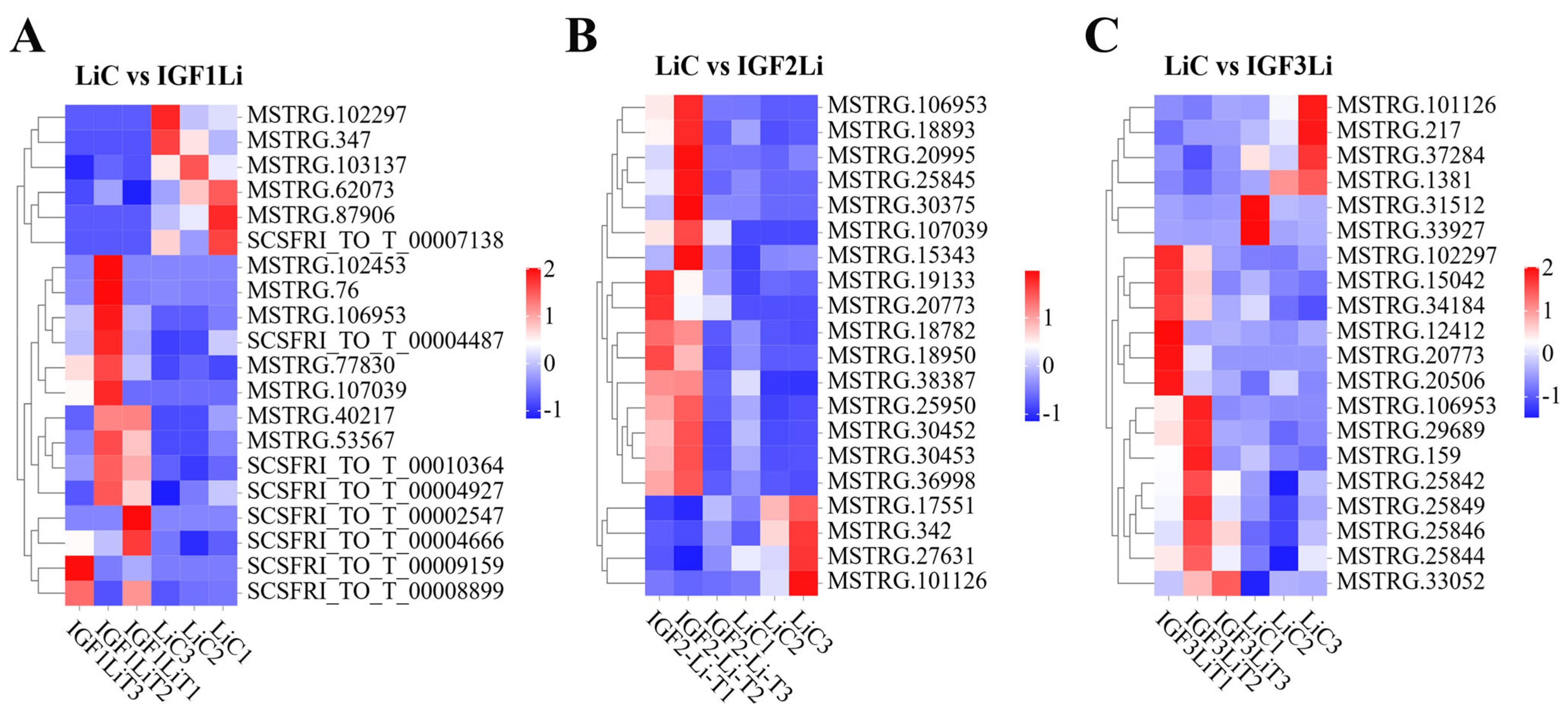 Fishes 10 00315 g002