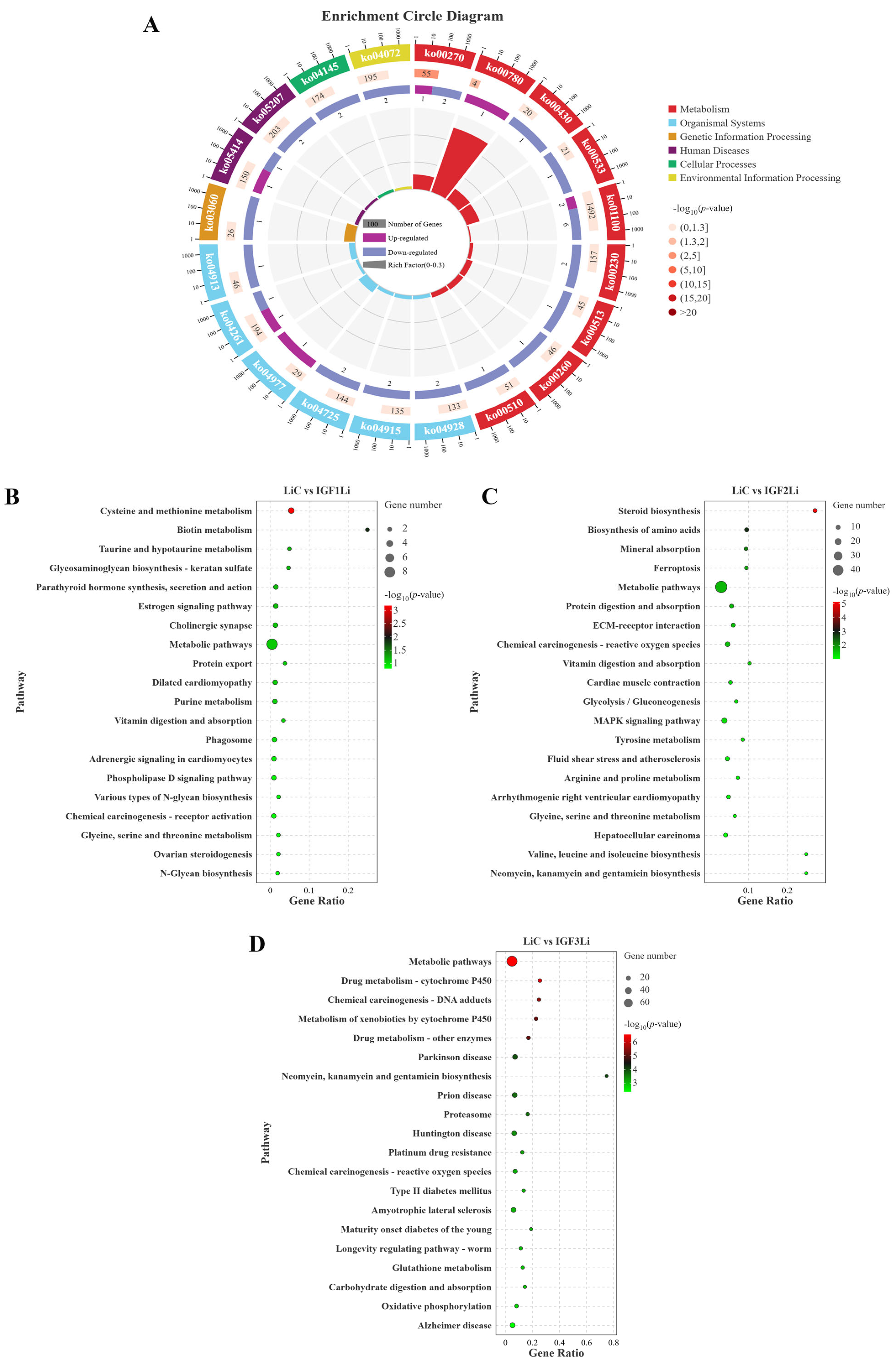 Fishes 10 00315 g004