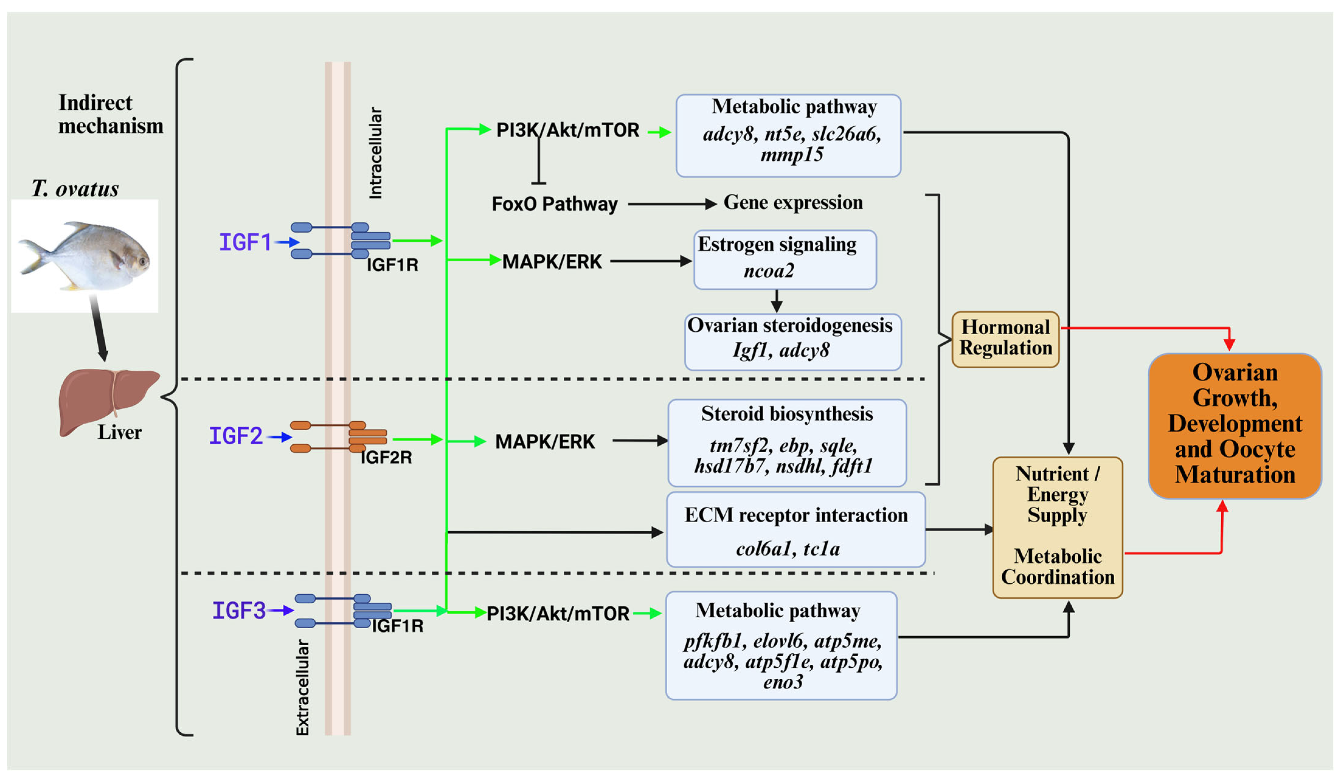 Fishes 10 00315 g005