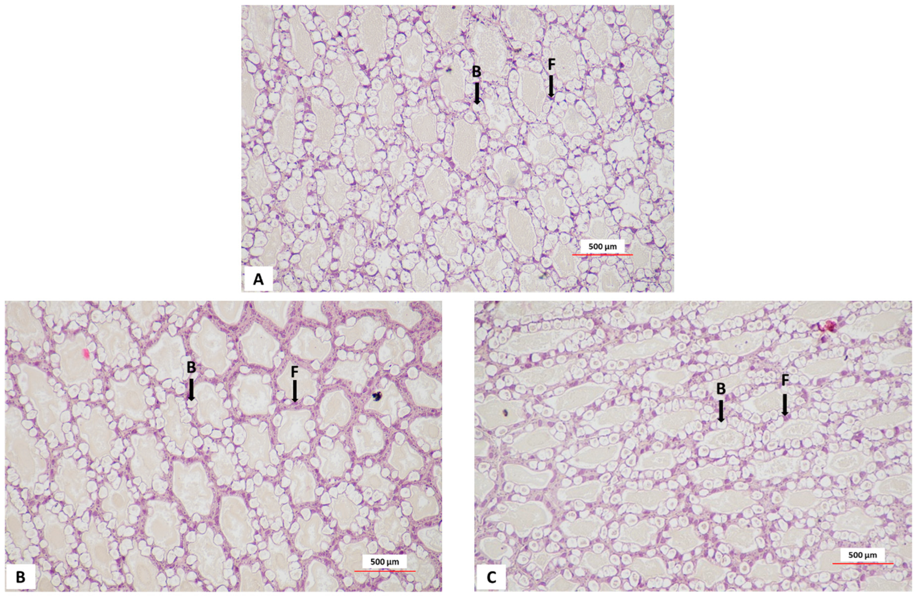 Fishes 10 00318 g004
