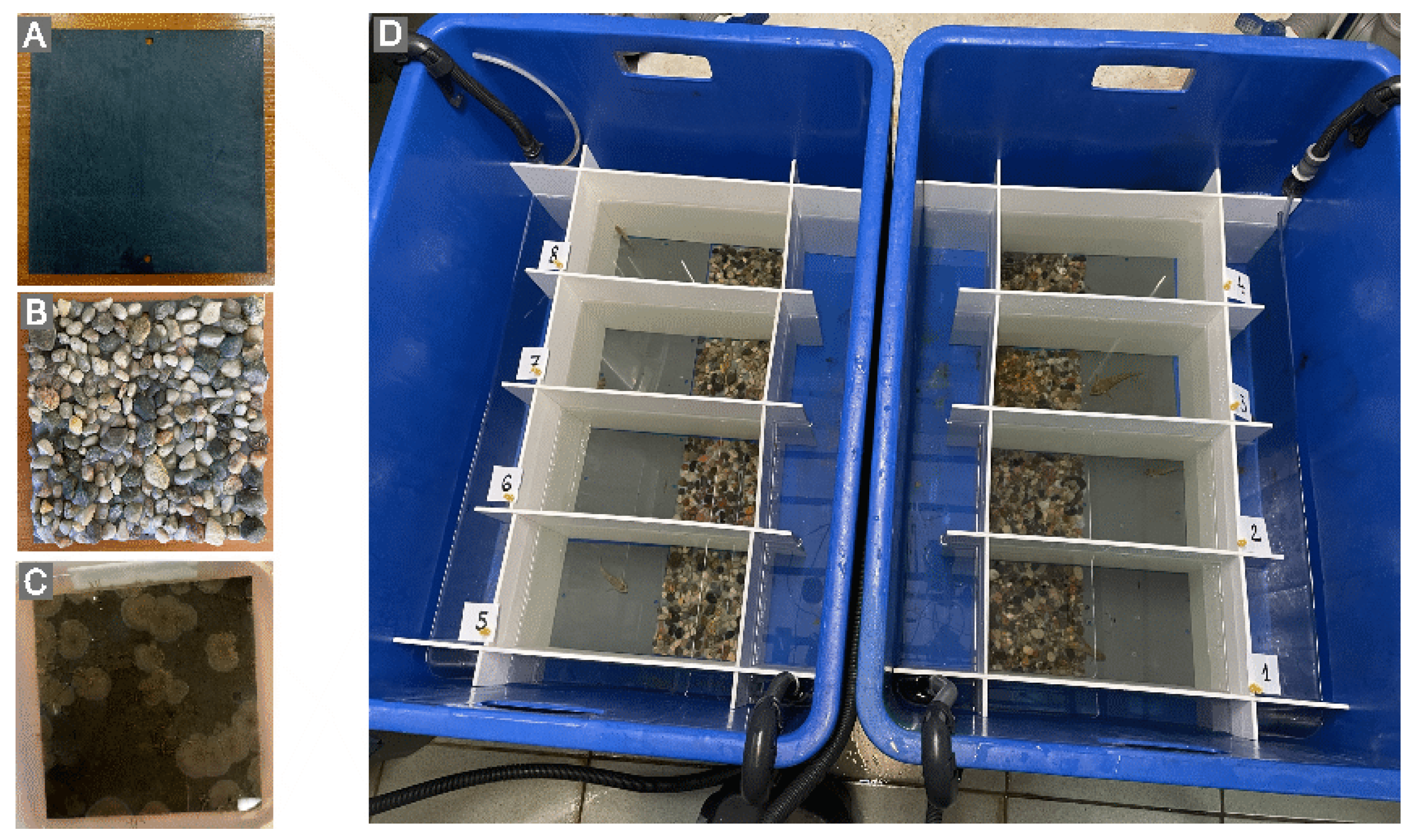 Fishes 10 00319 g002