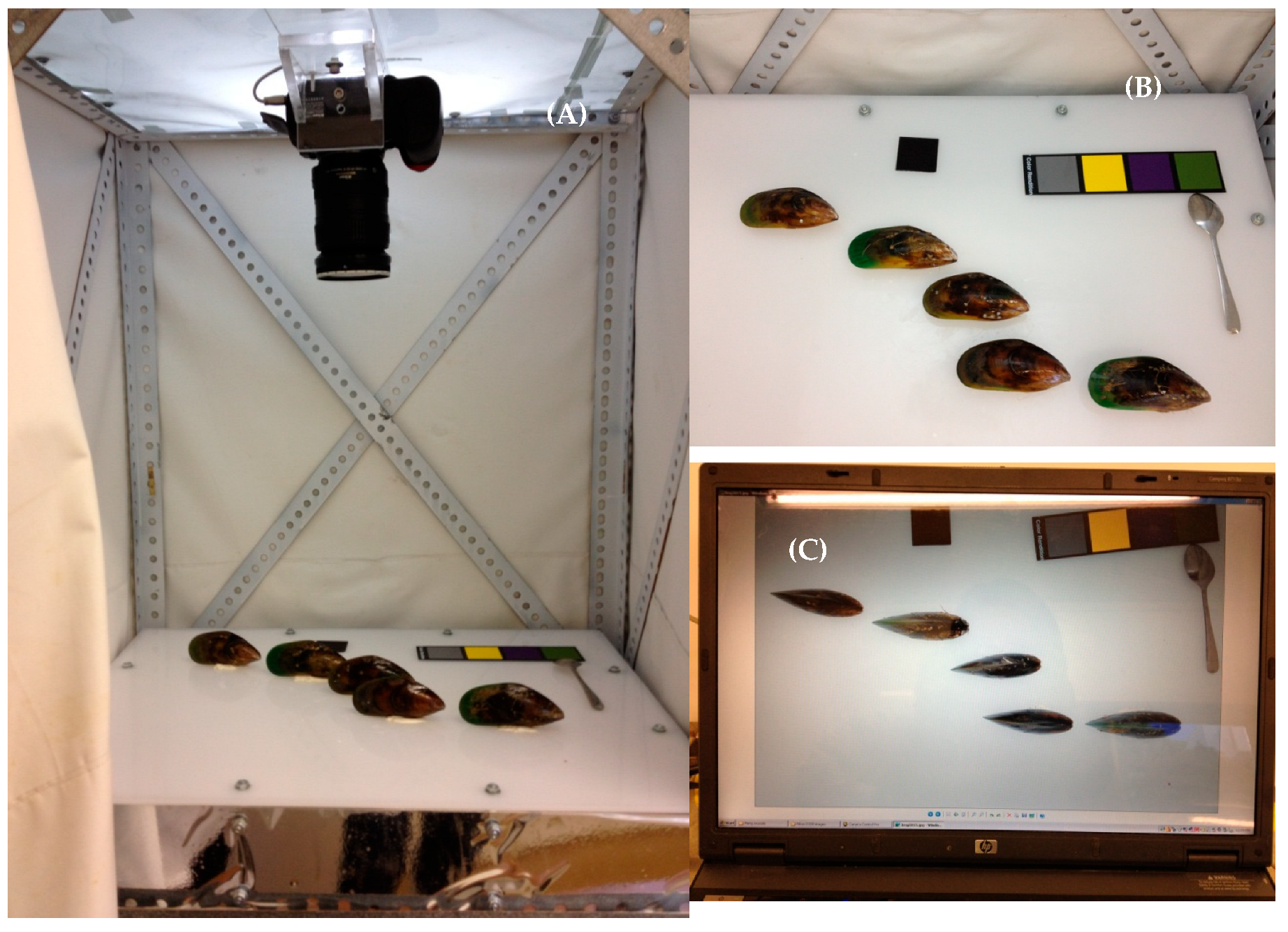 Fishes 10 00325 g001