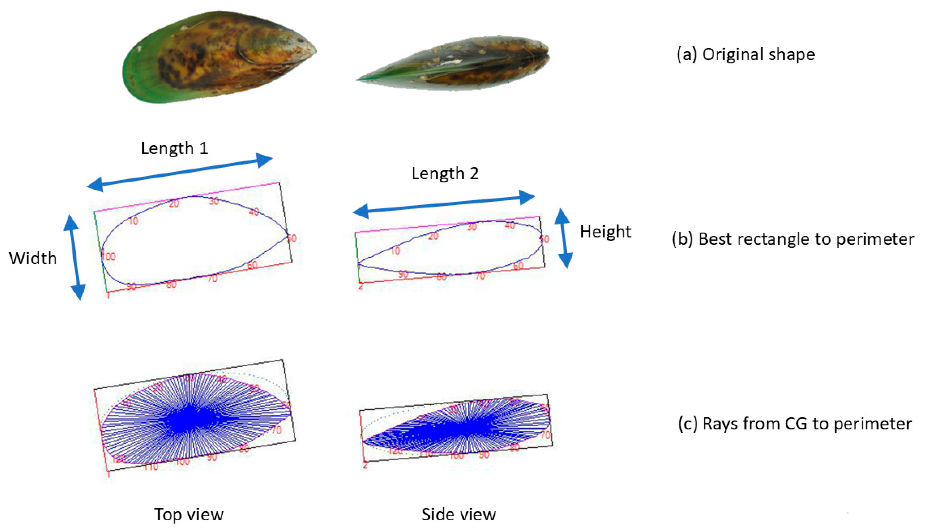 Fishes 10 00325 g002
