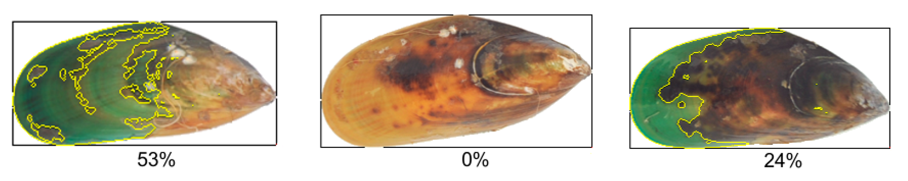 Fishes 10 00325 g007