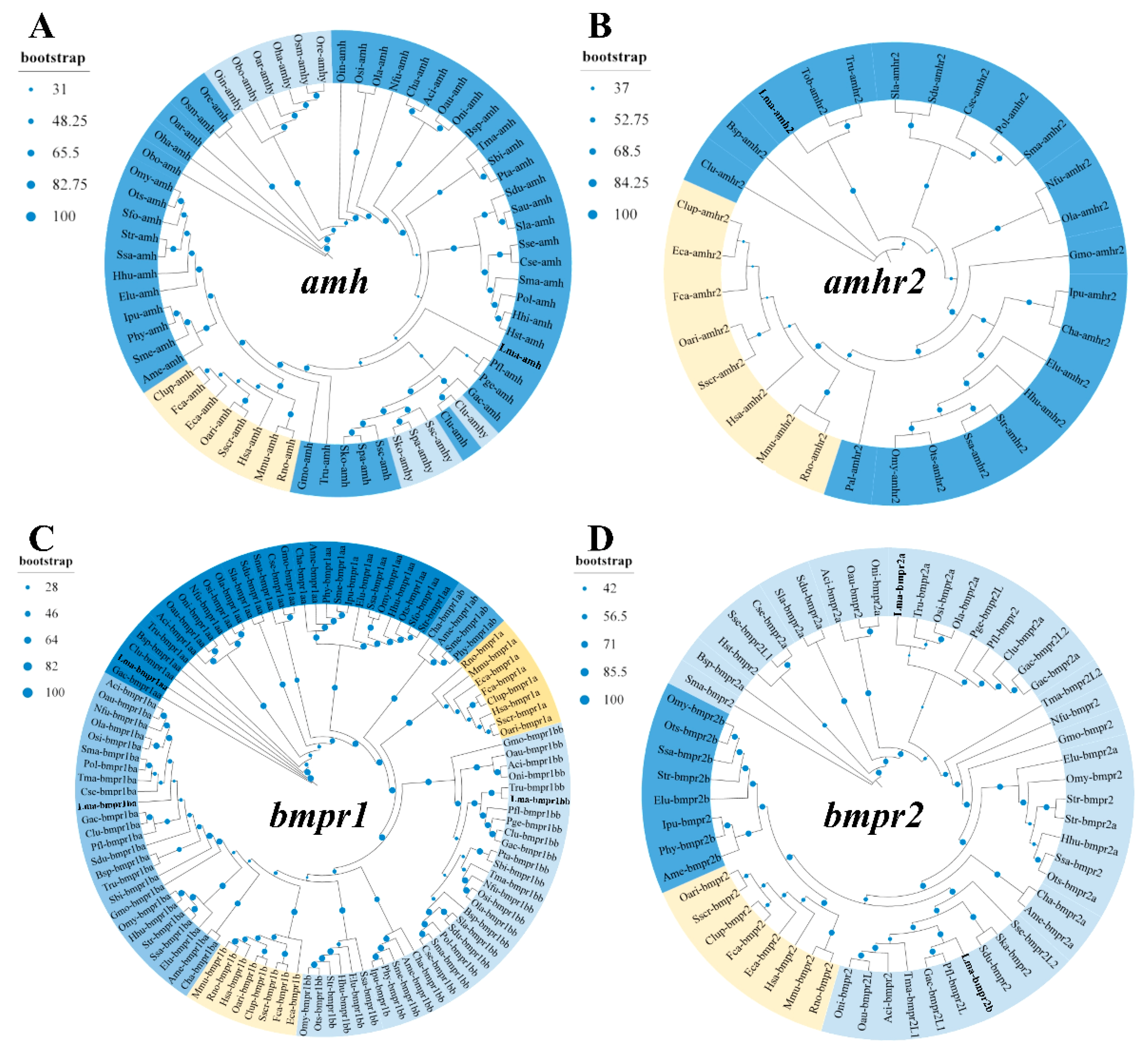 Fishes 10 00327 g001