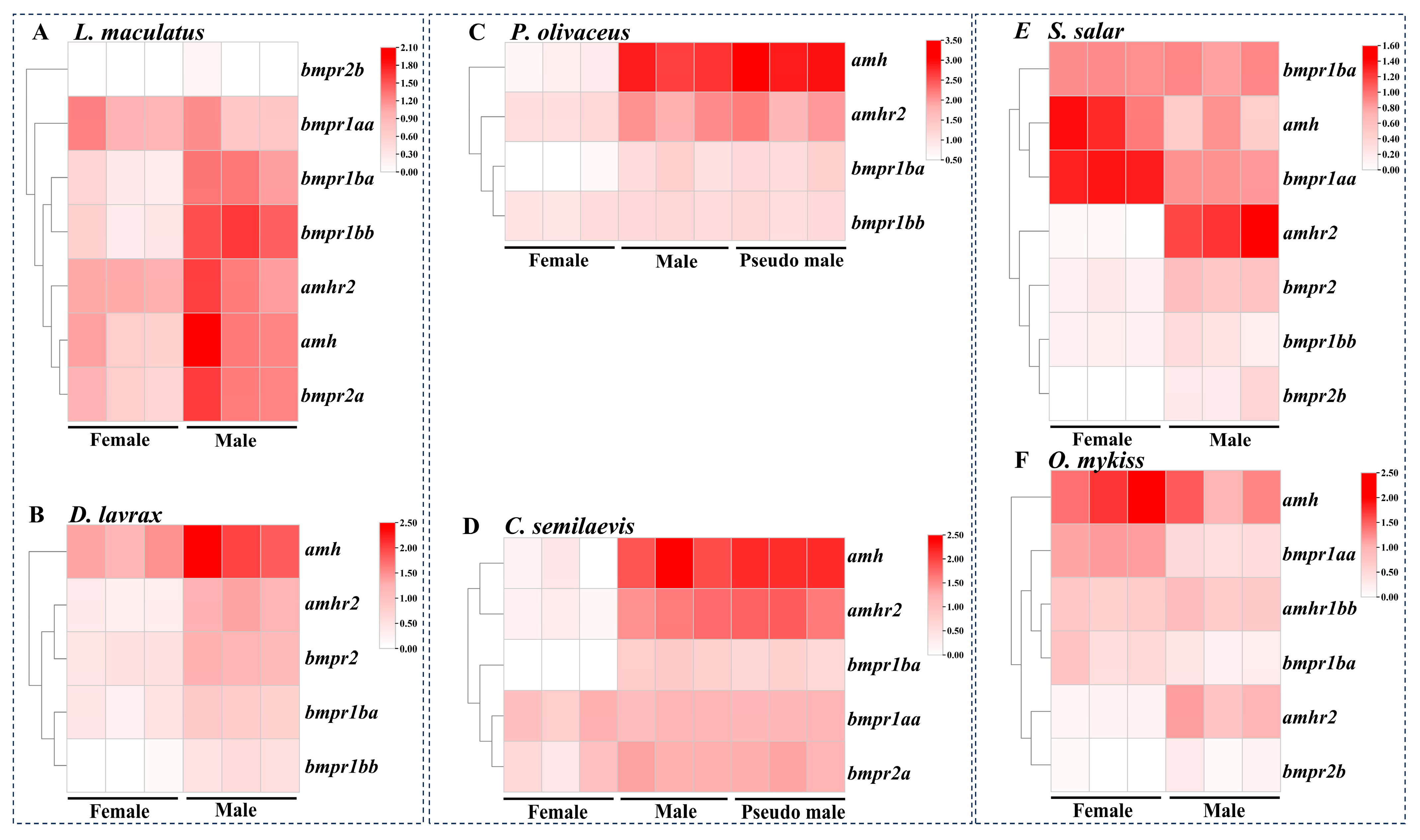 Fishes 10 00327 g005