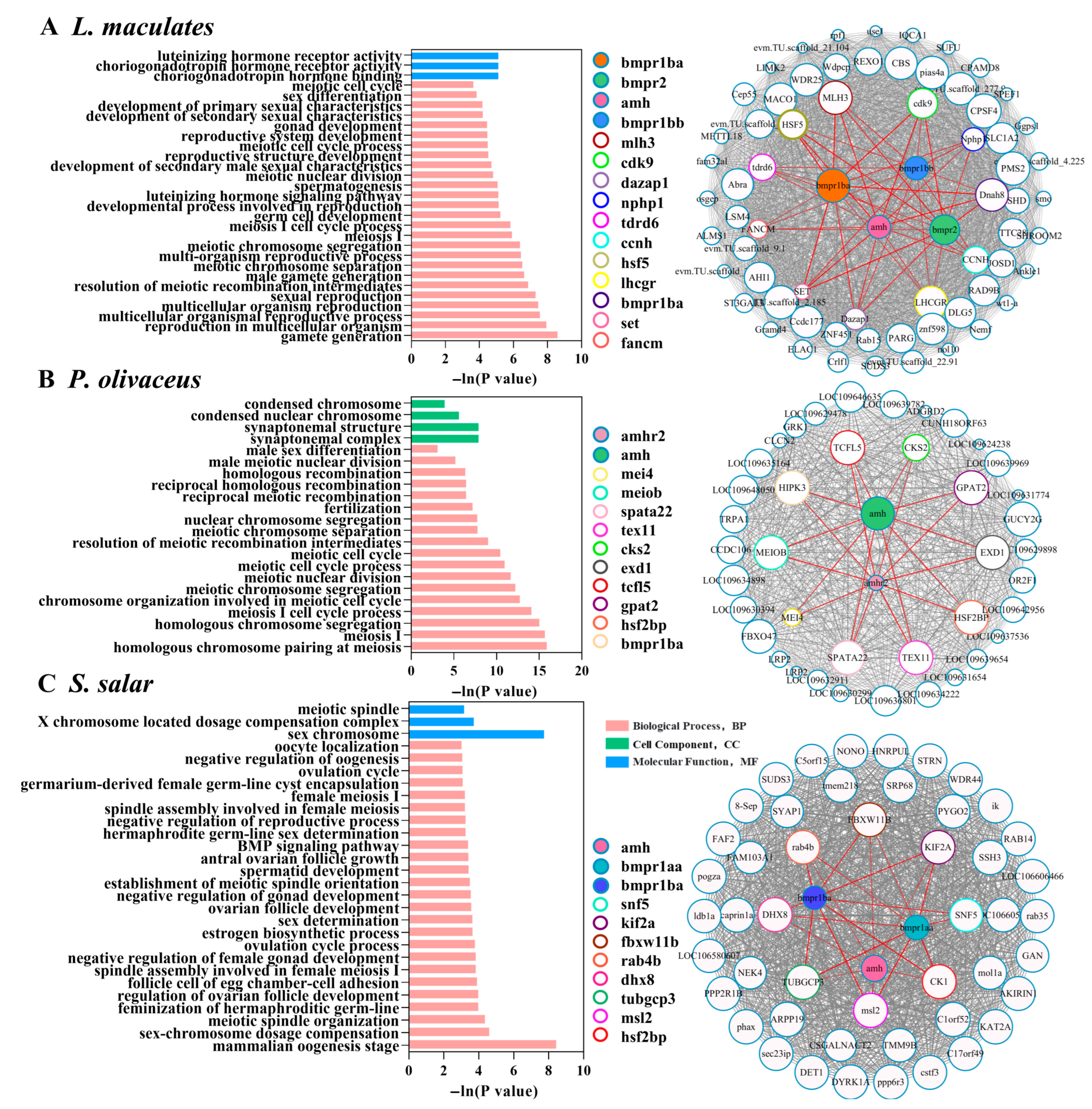 Fishes 10 00327 g006